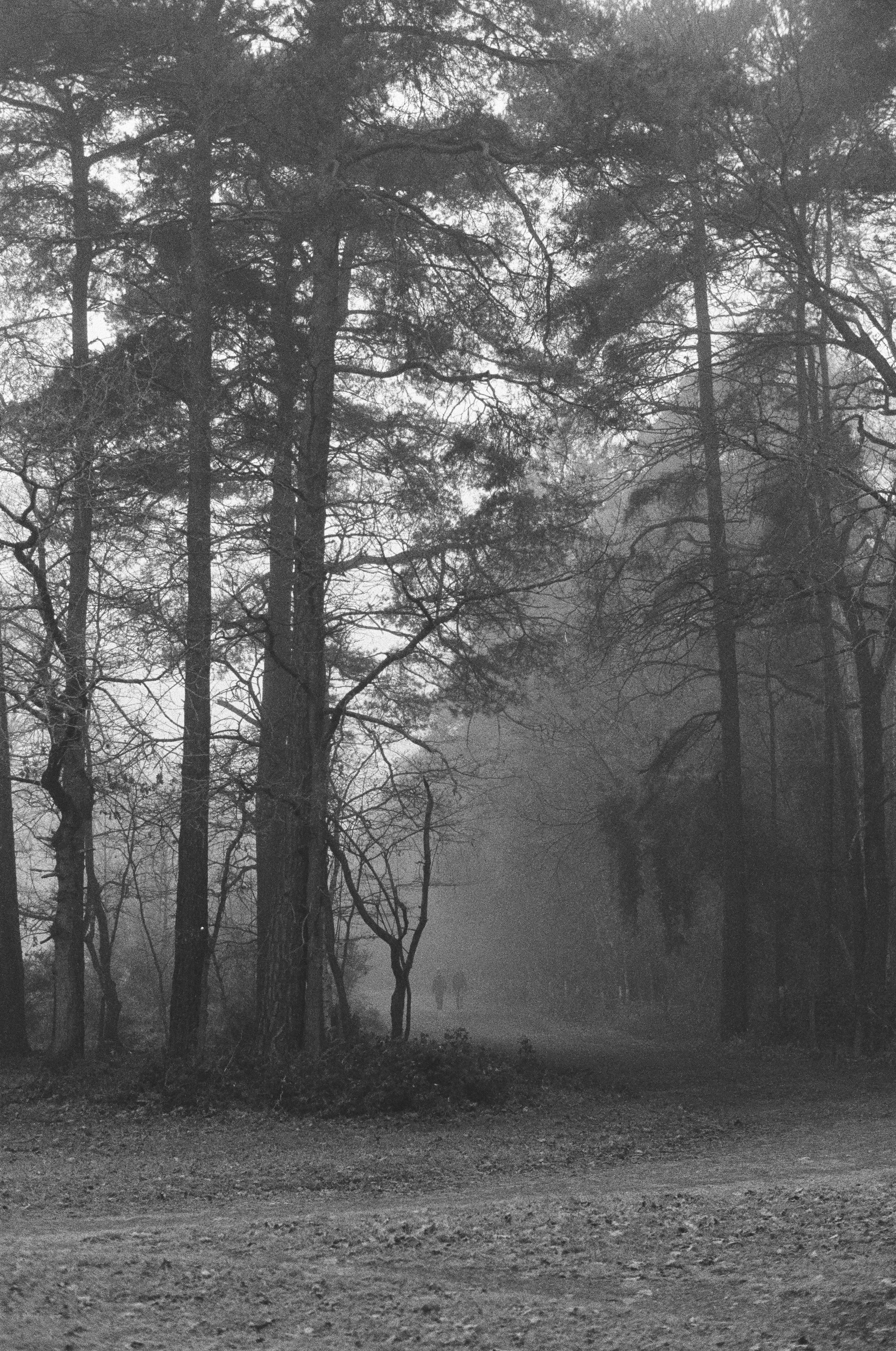 Photo by tanyabarrow