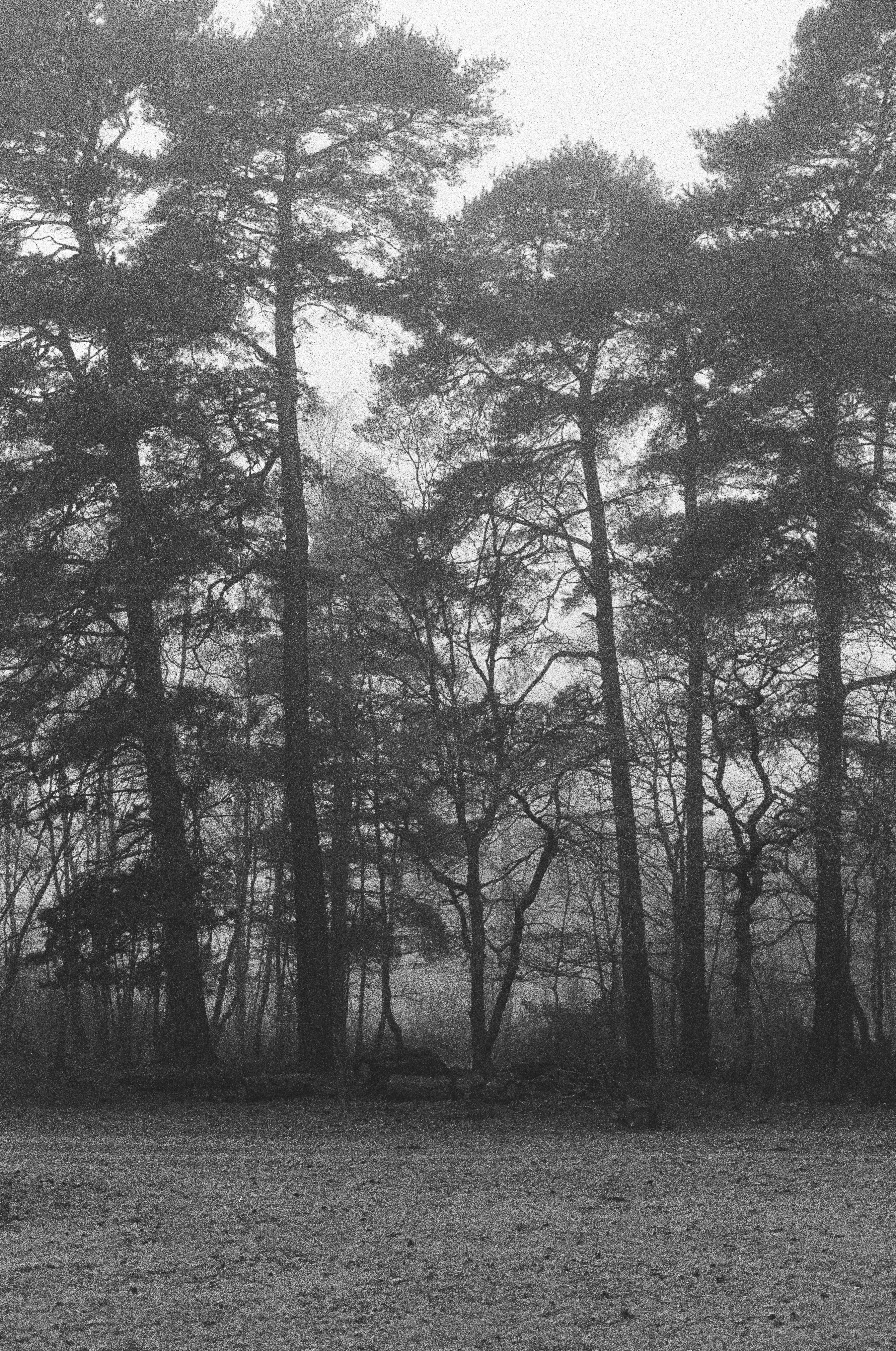 Photo by tanyabarrow