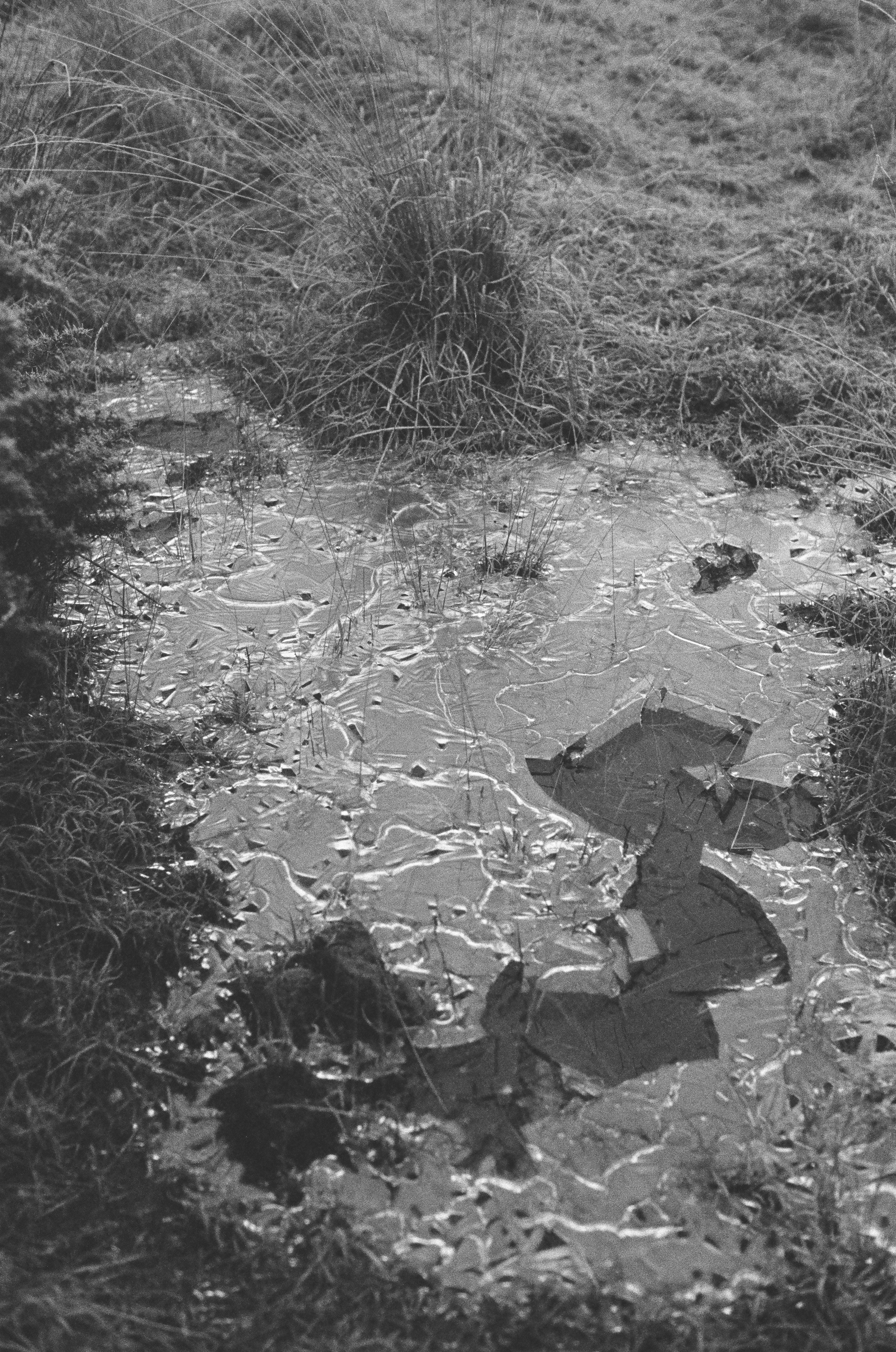 Photo by tanyabarrow