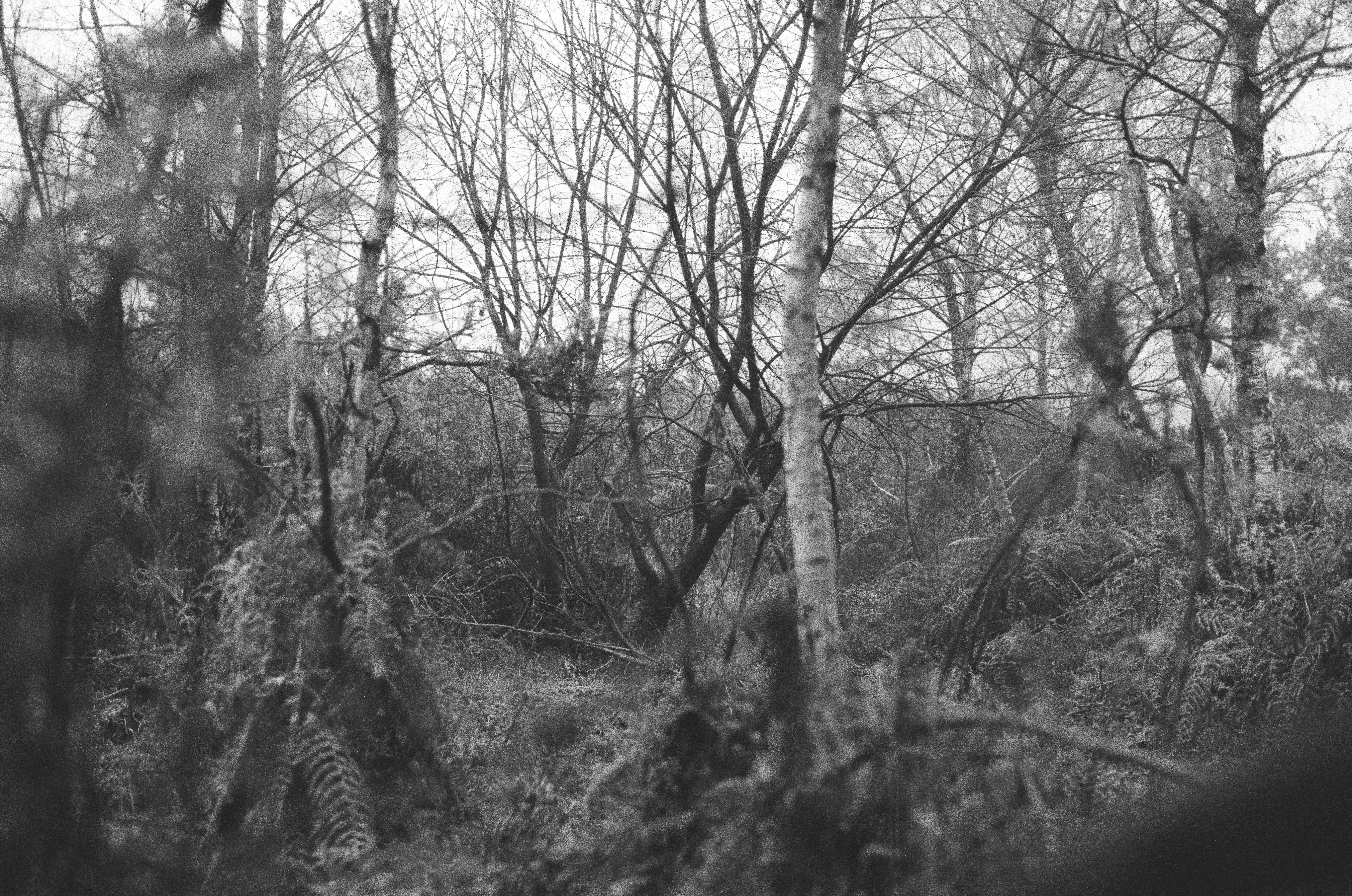 Photo by tanyabarrow