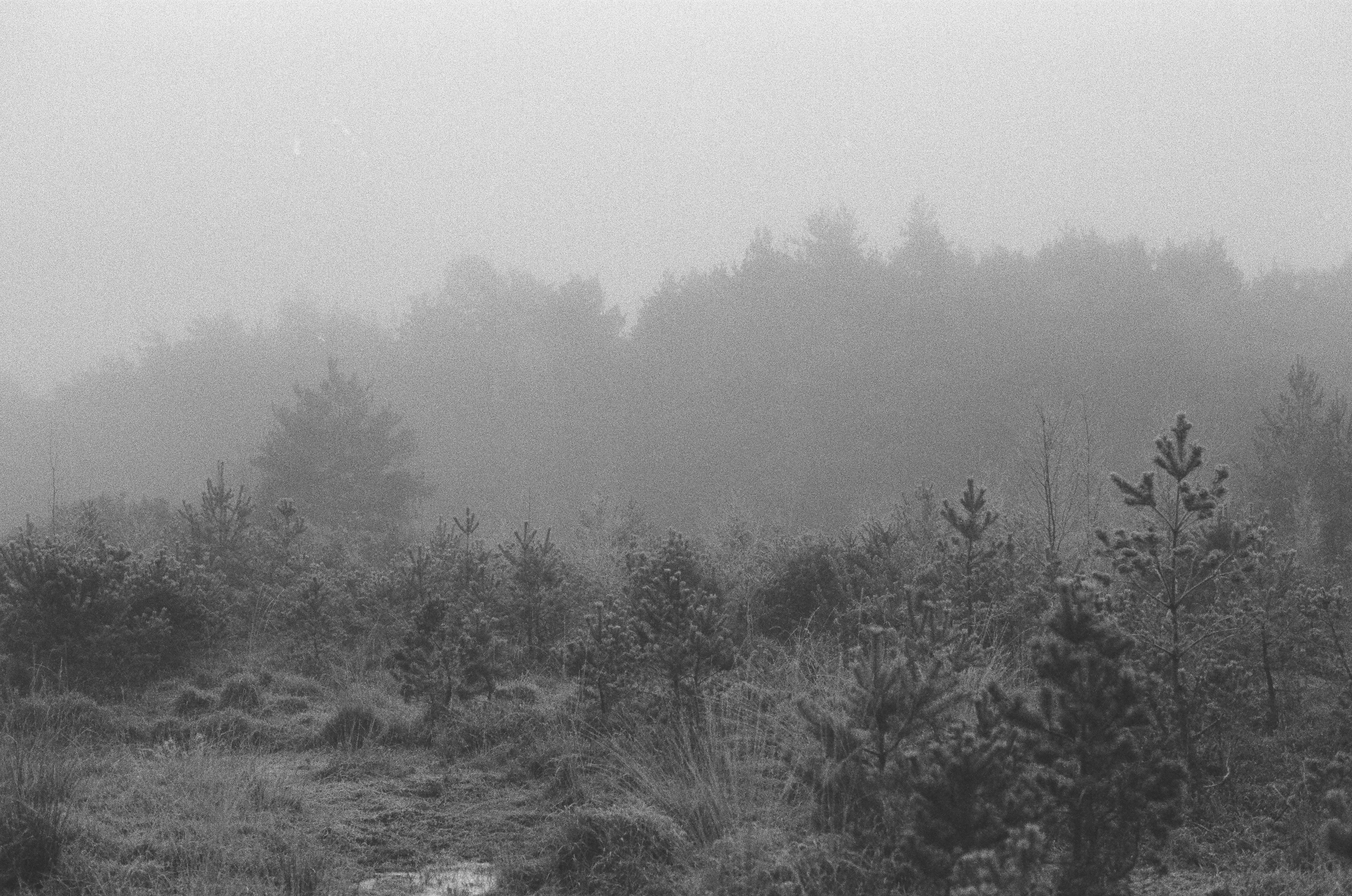 Photo by tanyabarrow