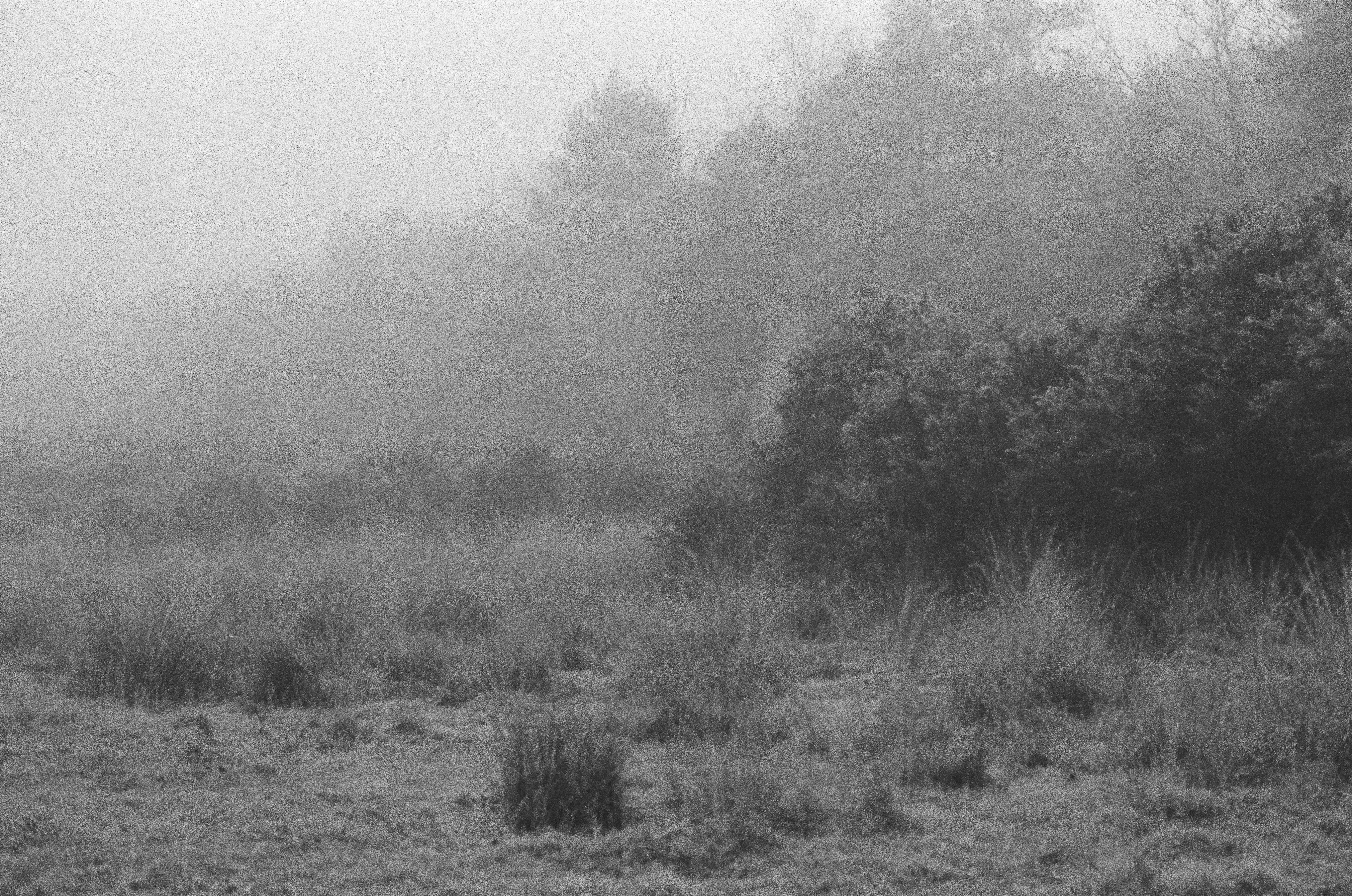 Photo by tanyabarrow