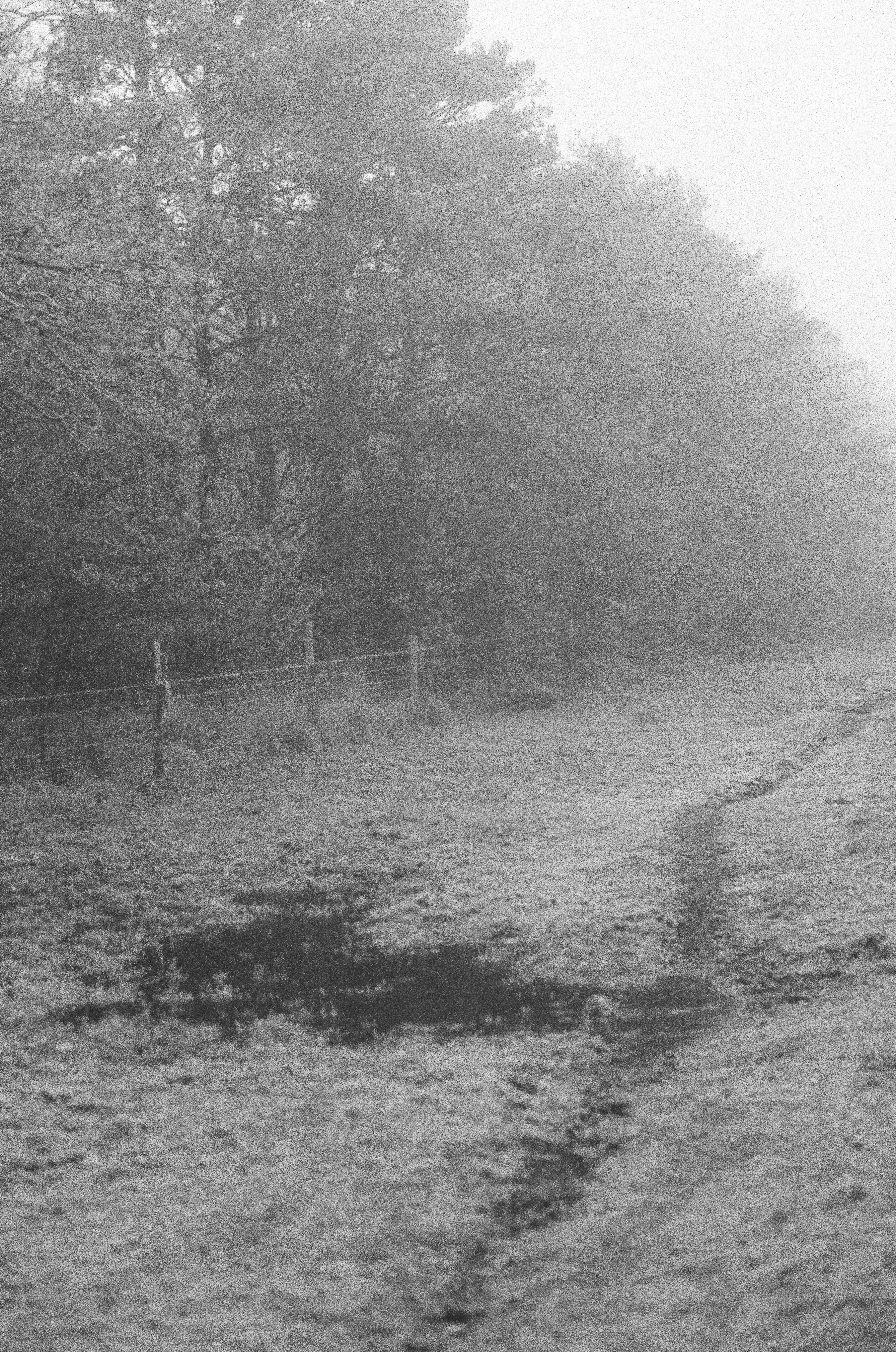 Photo by tanyabarrow