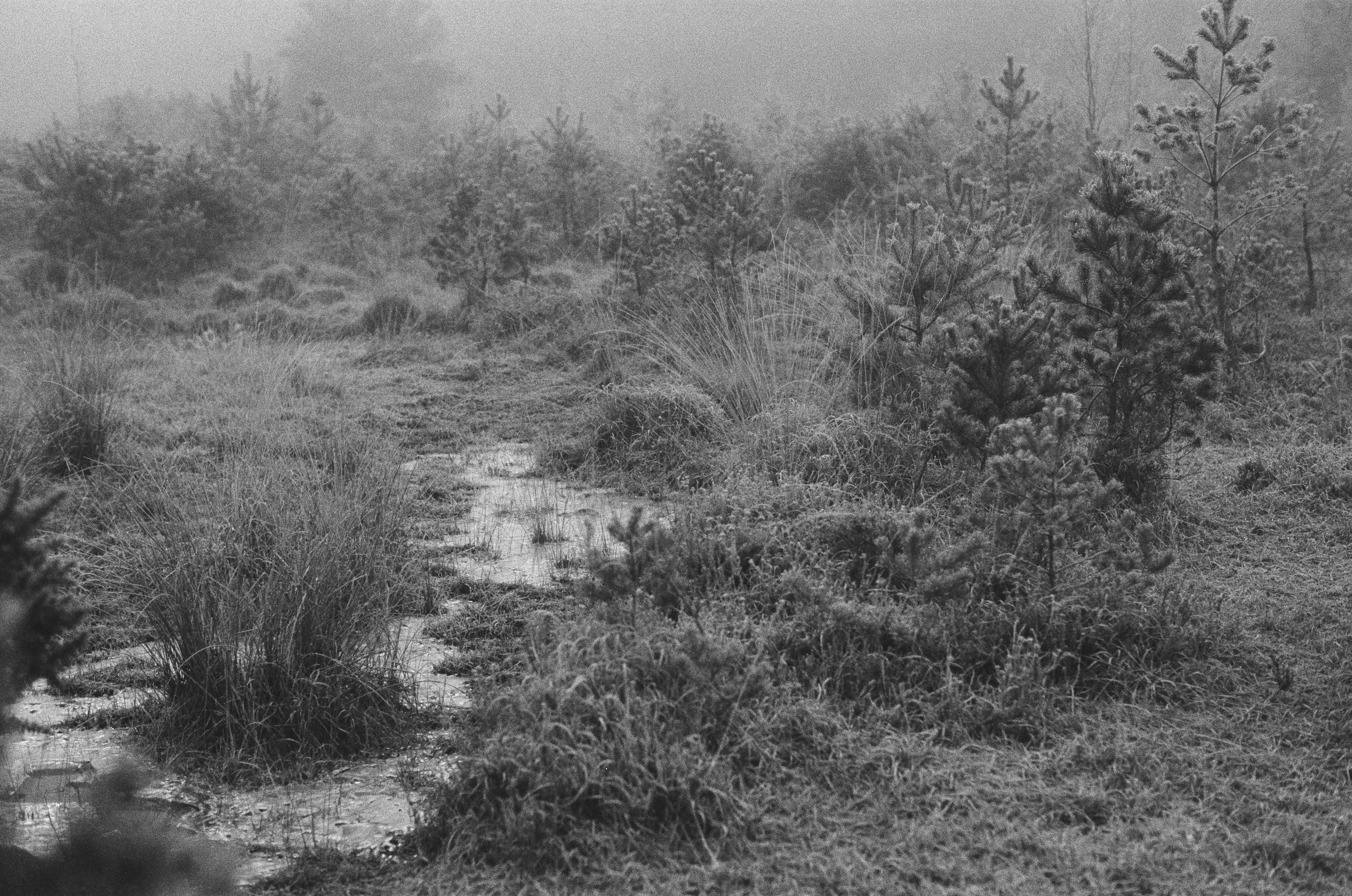 Photo by tanyabarrow