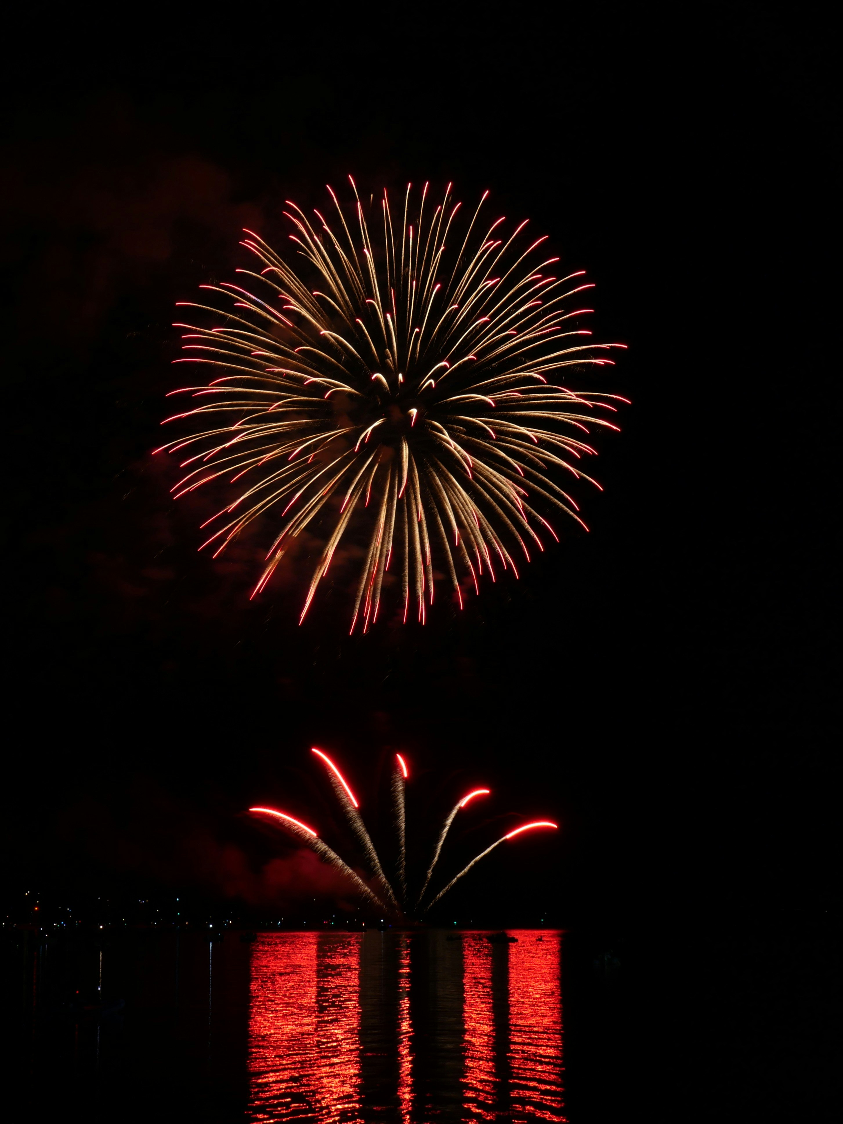 Photo by nimbus_vulpis