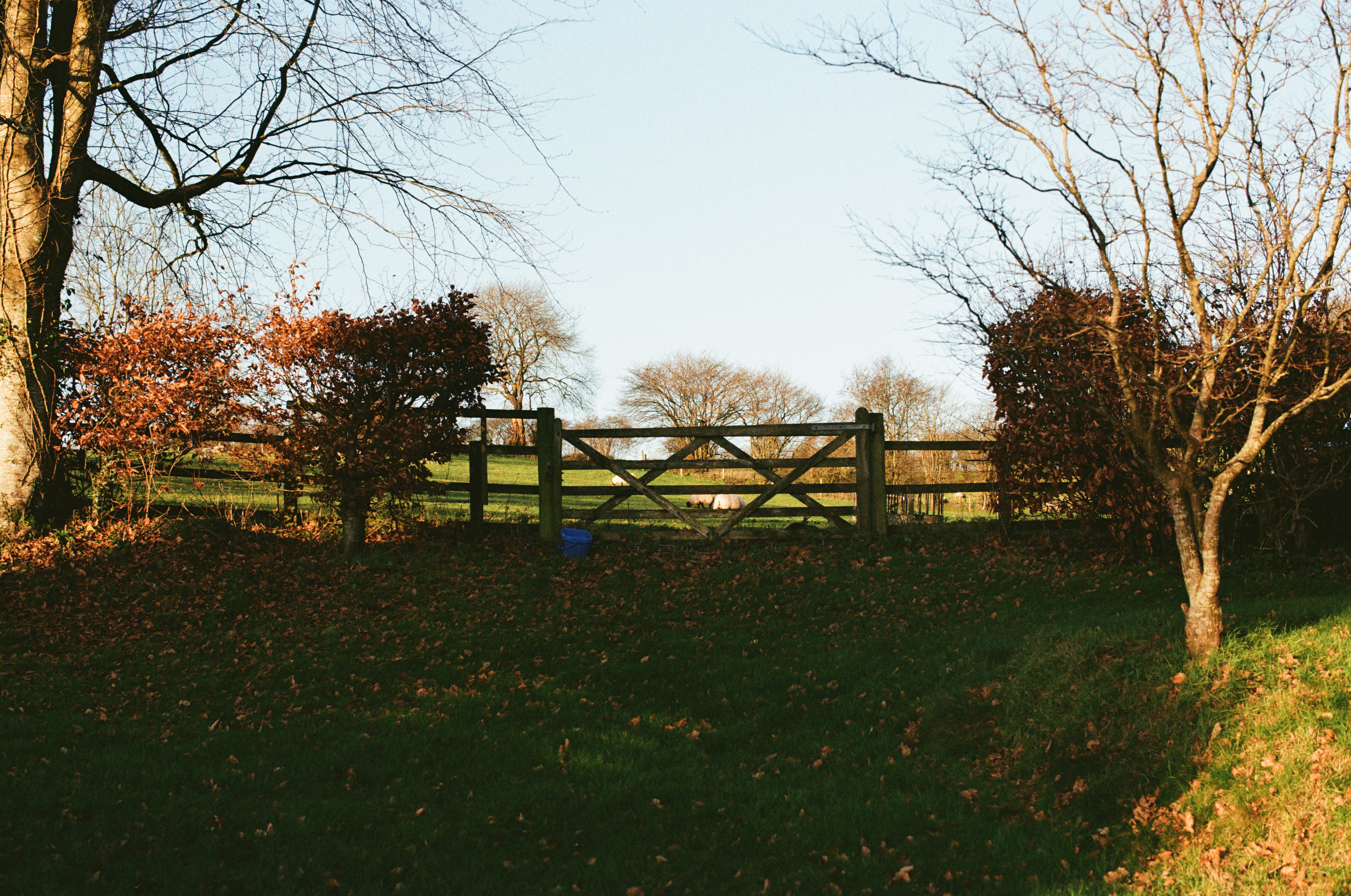 Photo by tanyabarrow