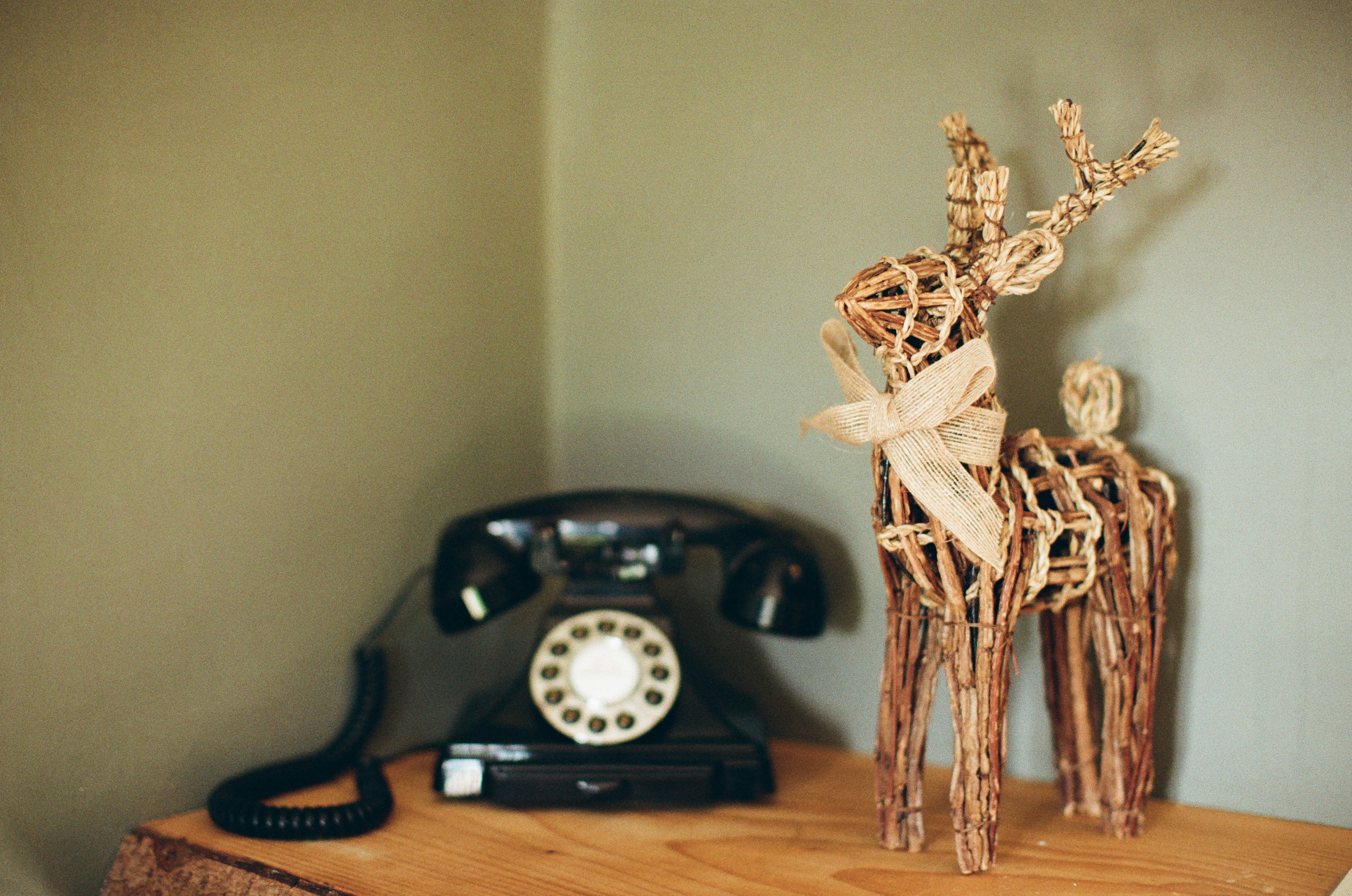 Photo by tanyabarrow