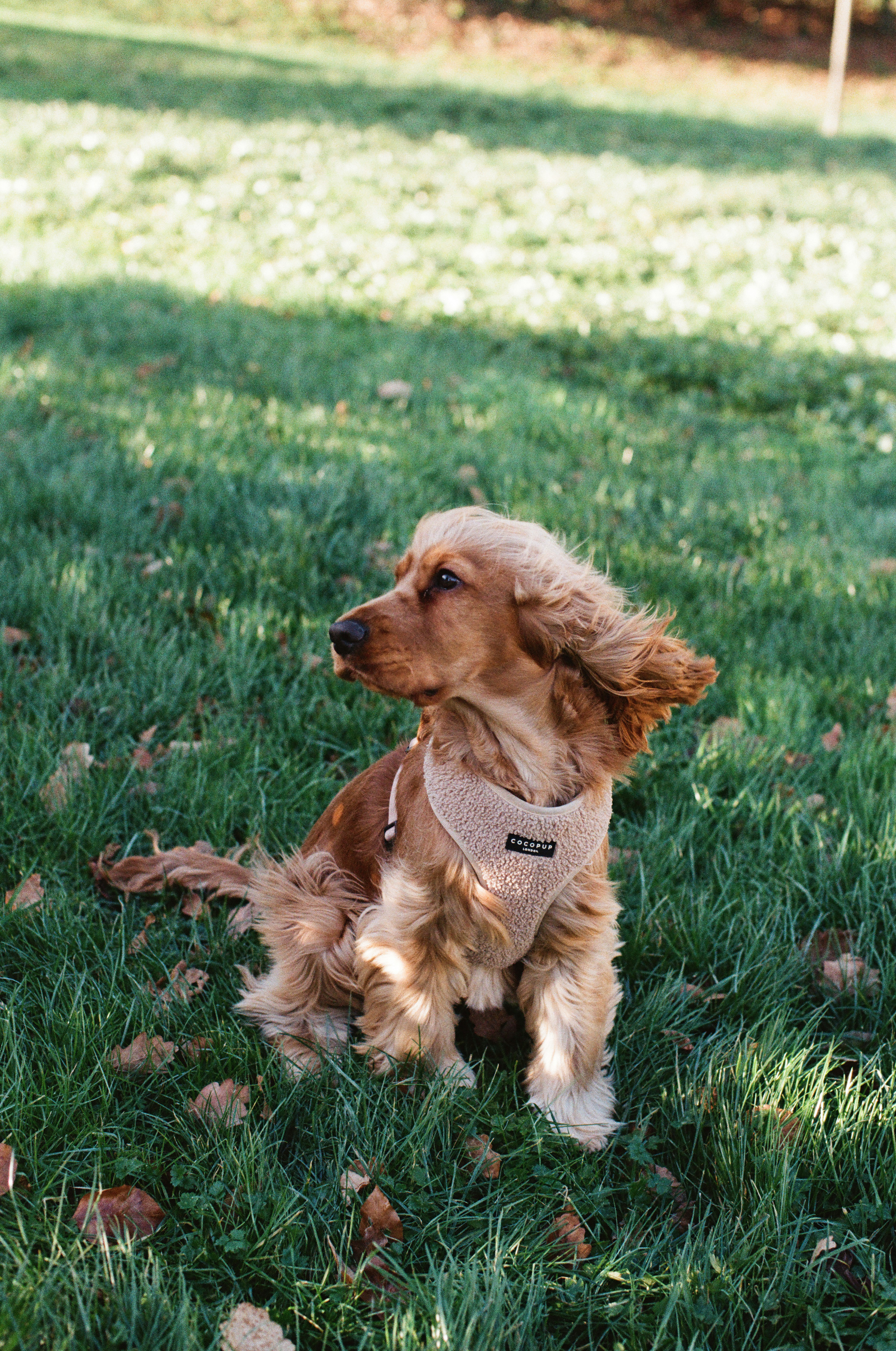 Photo by tanyabarrow