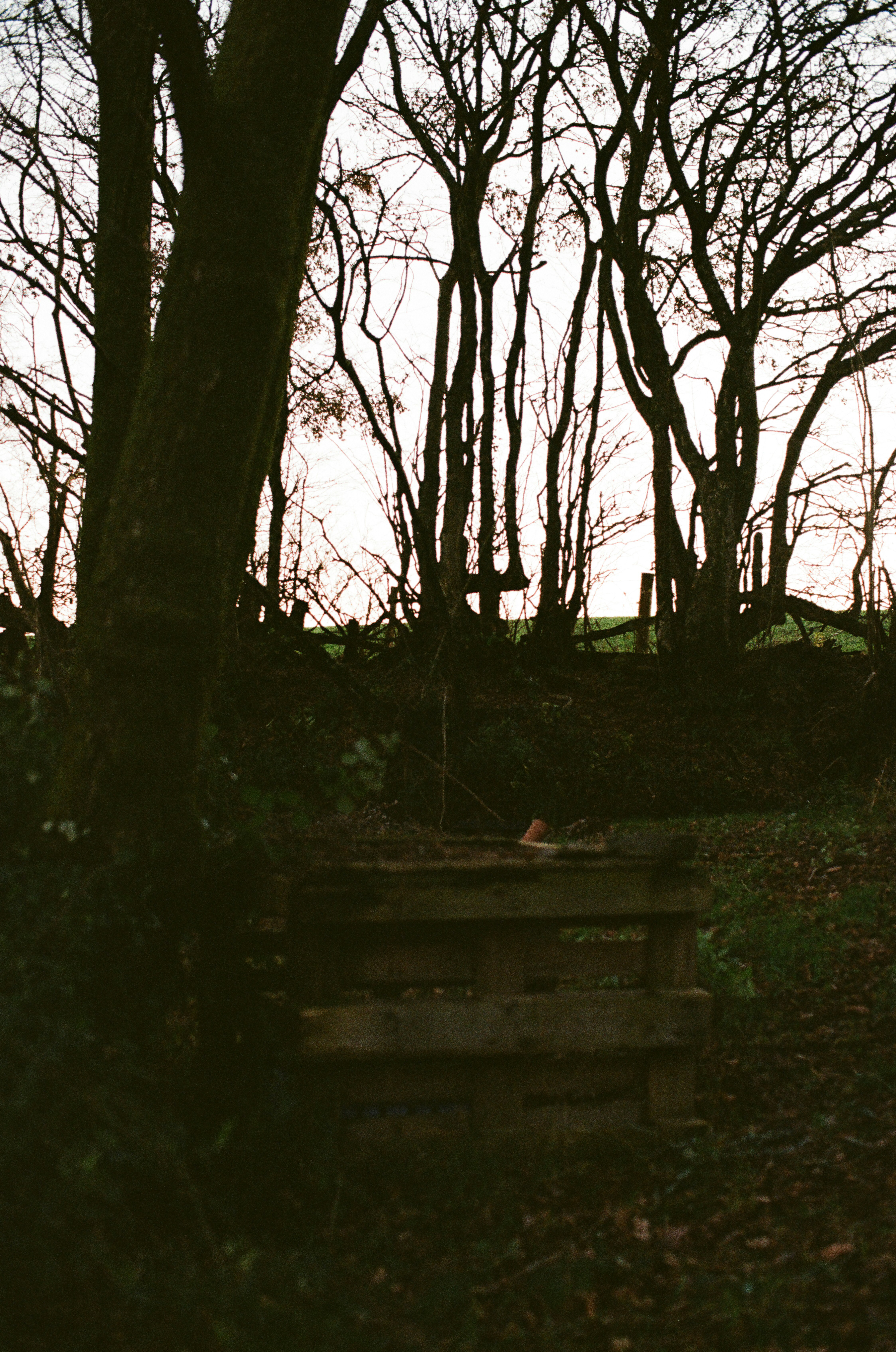 Photo by tanyabarrow