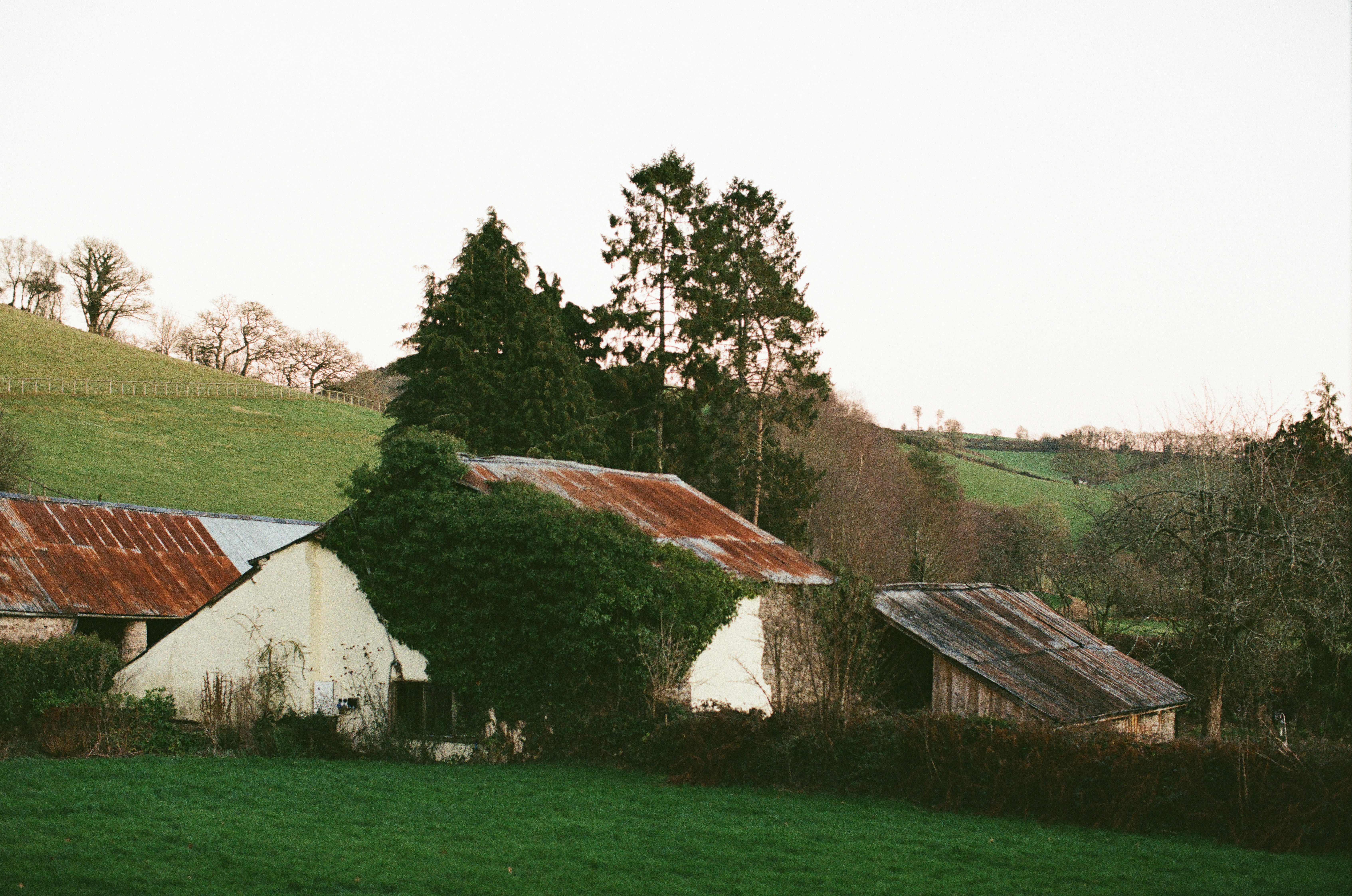 Photo by tanyabarrow