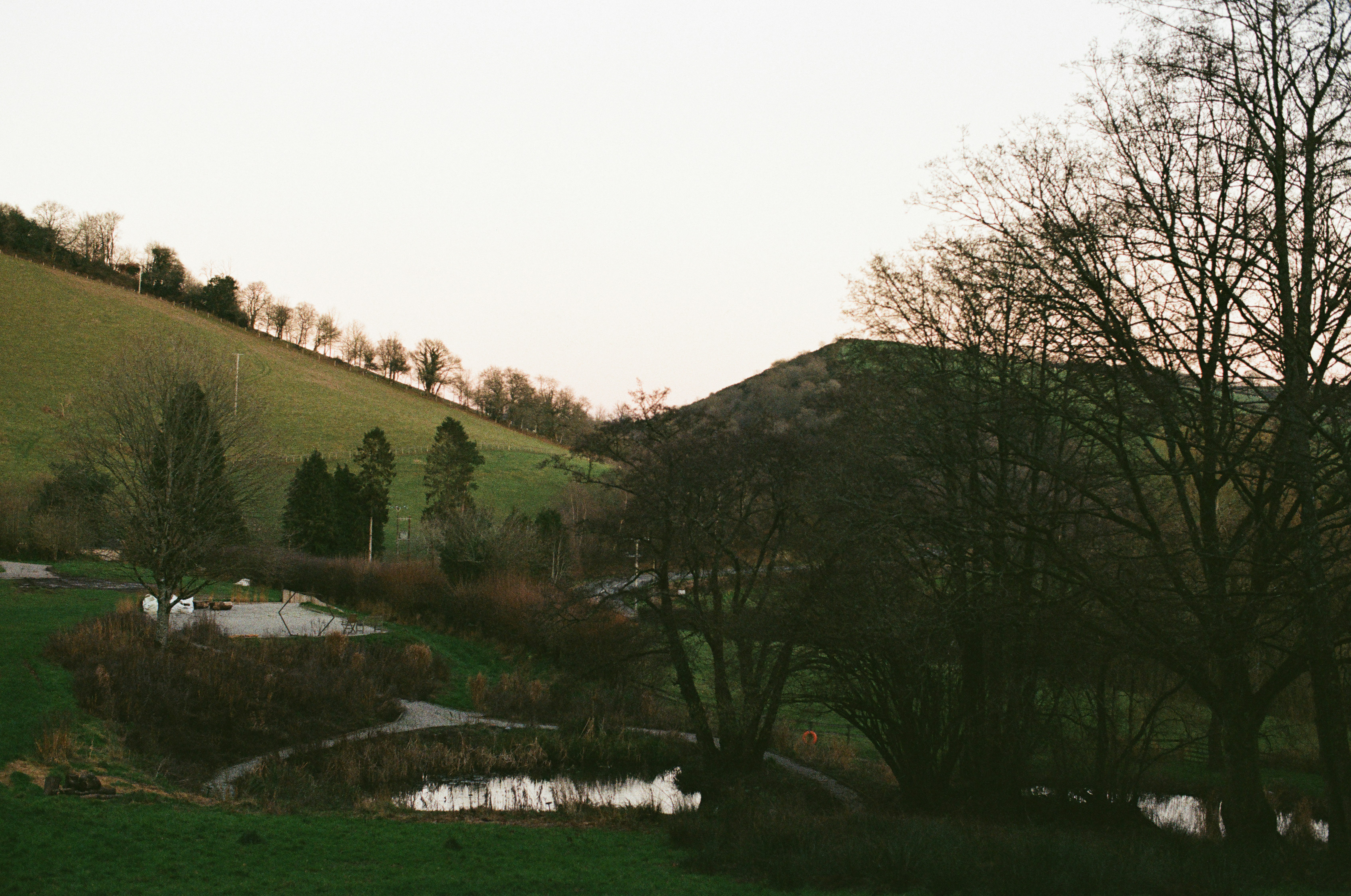 Photo by tanyabarrow