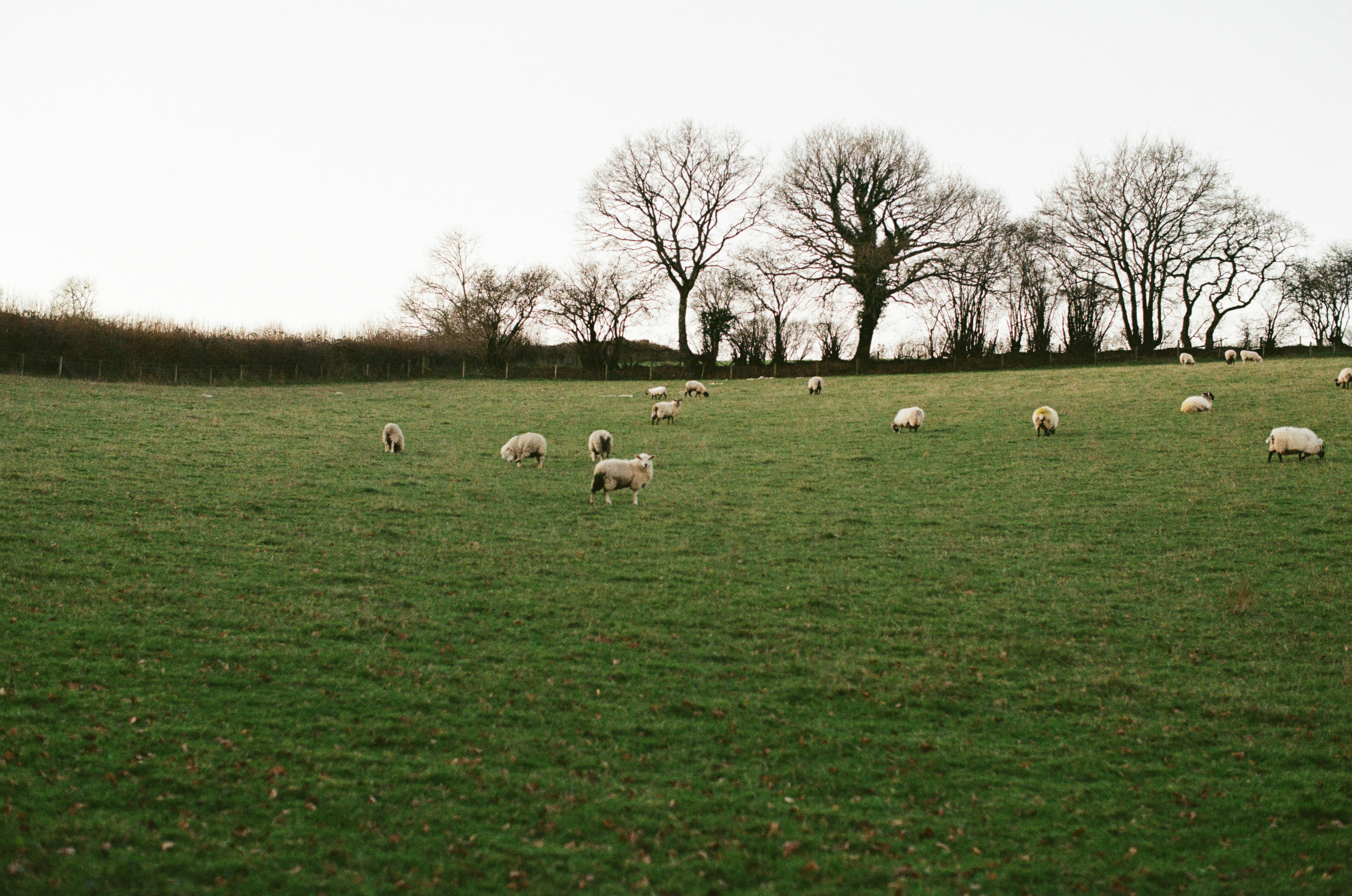 Photo by tanyabarrow