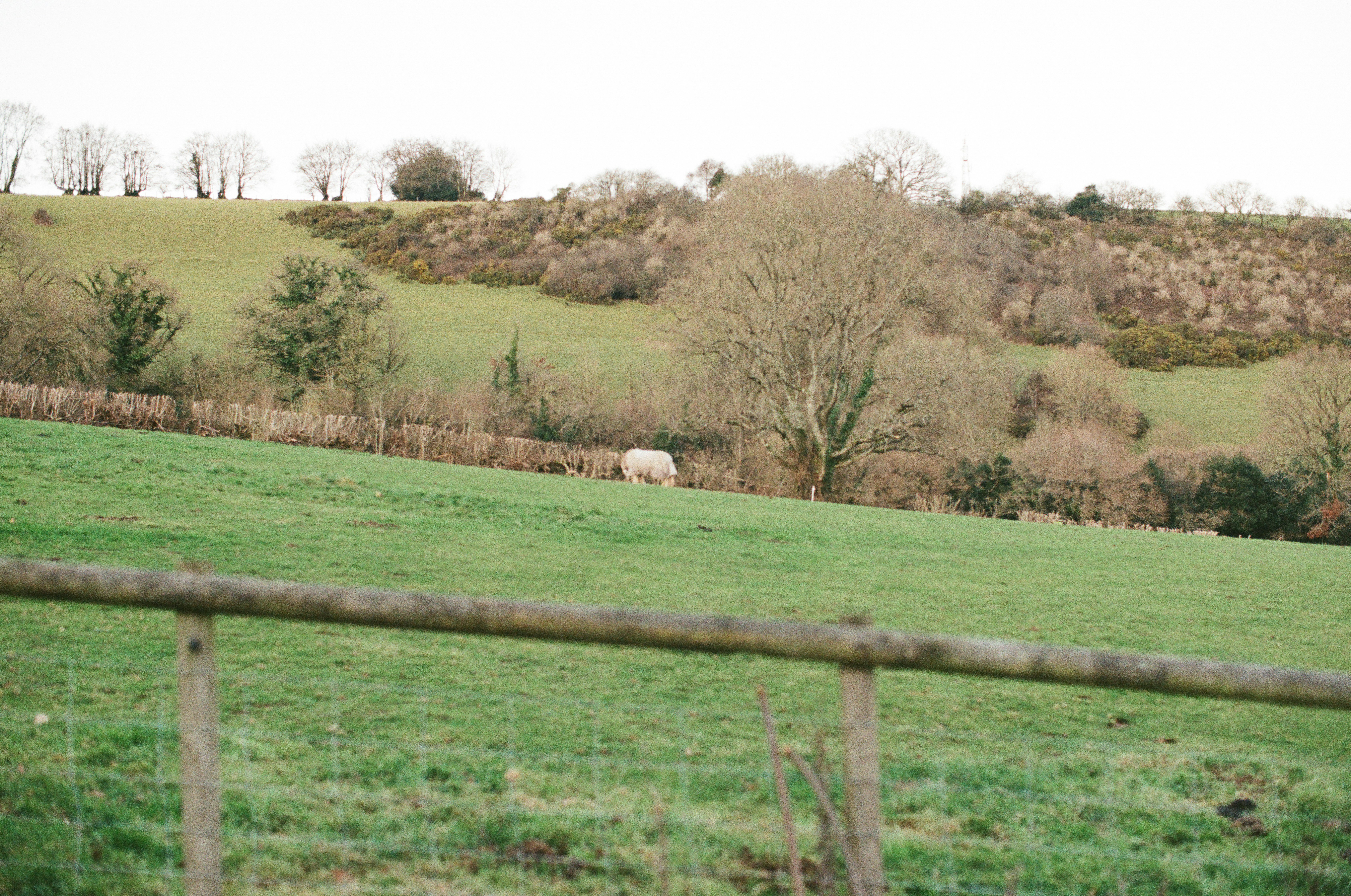 Photo by tanyabarrow