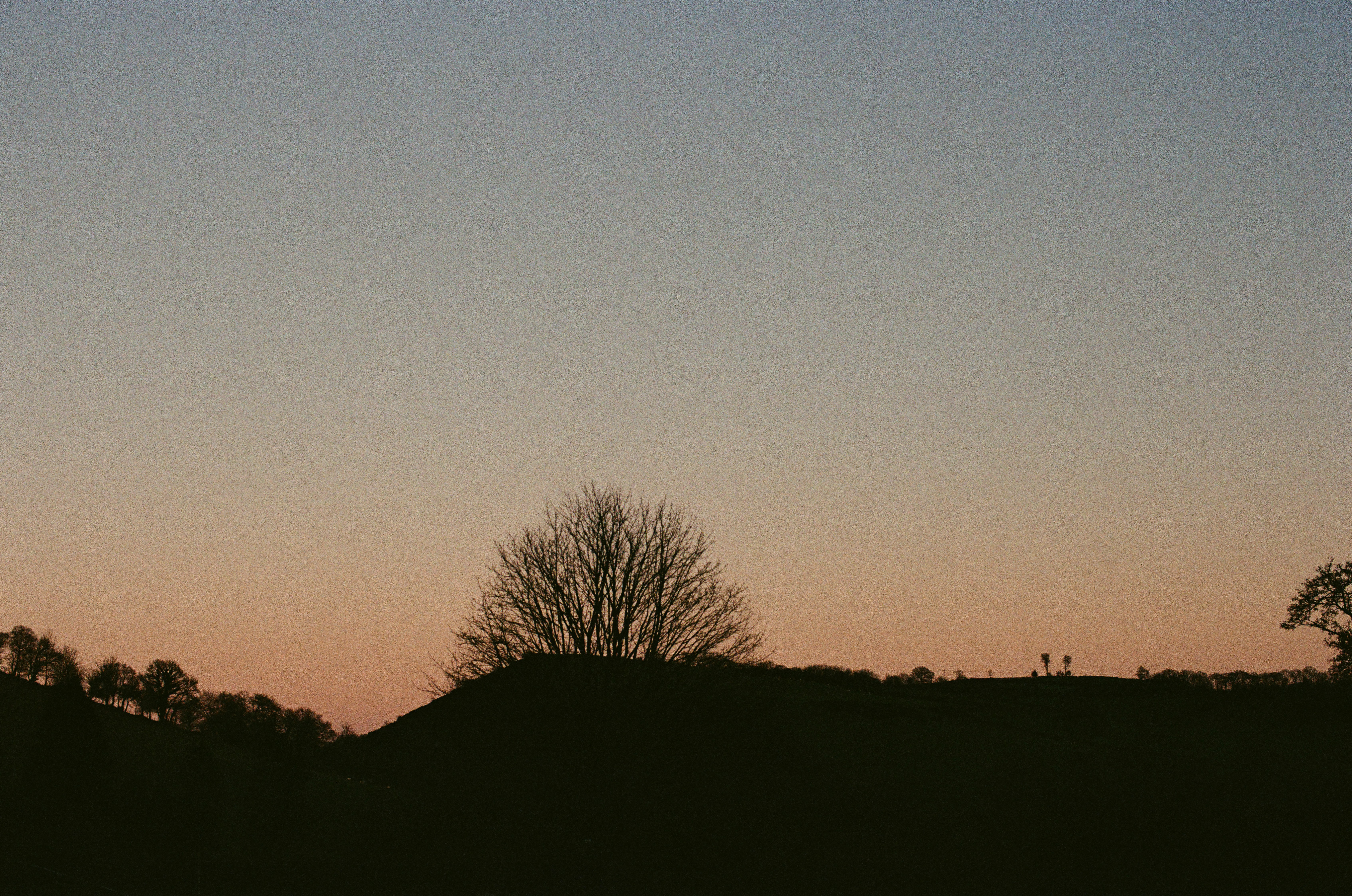 Photo by tanyabarrow