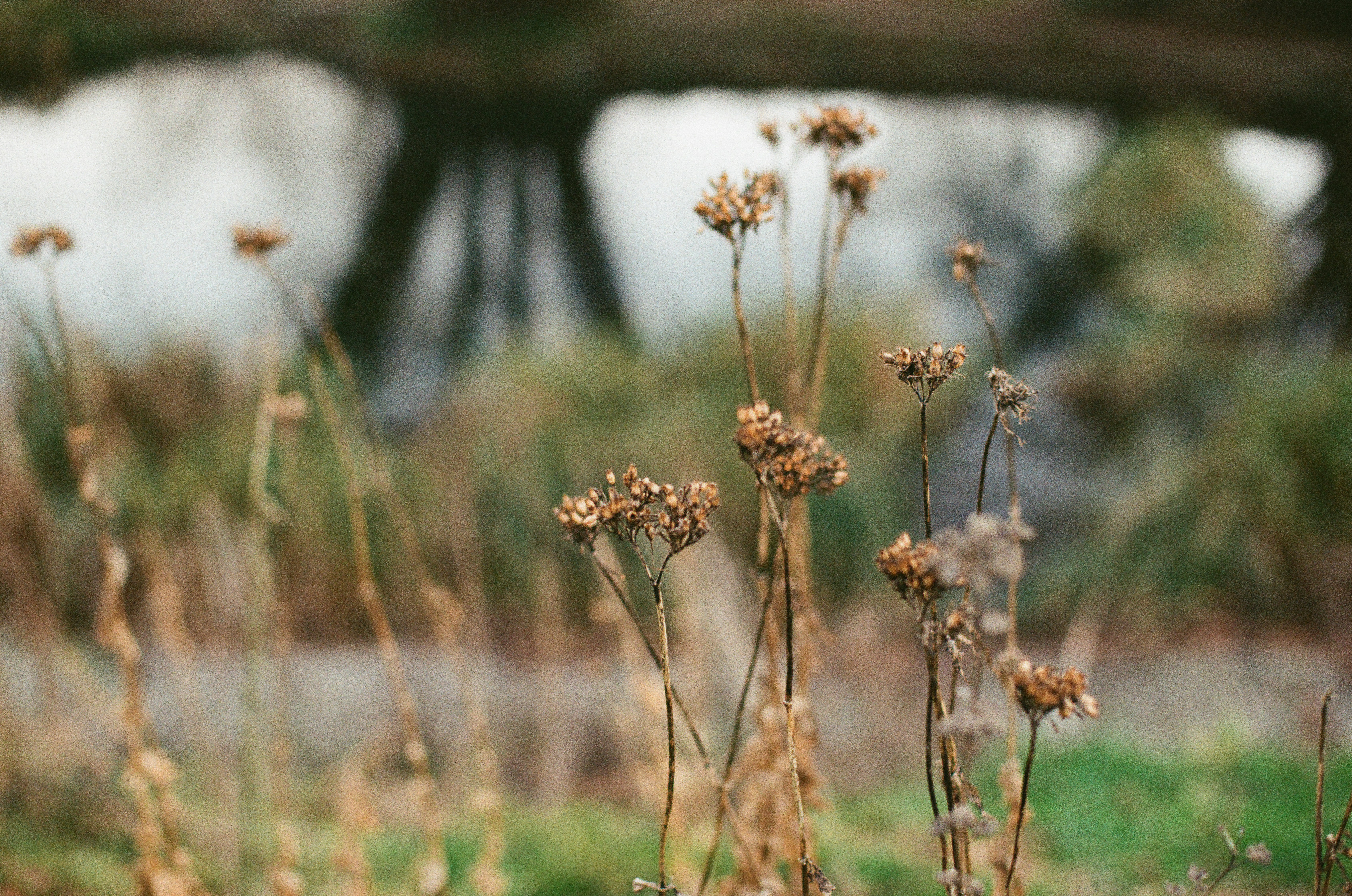 Photo by tanyabarrow