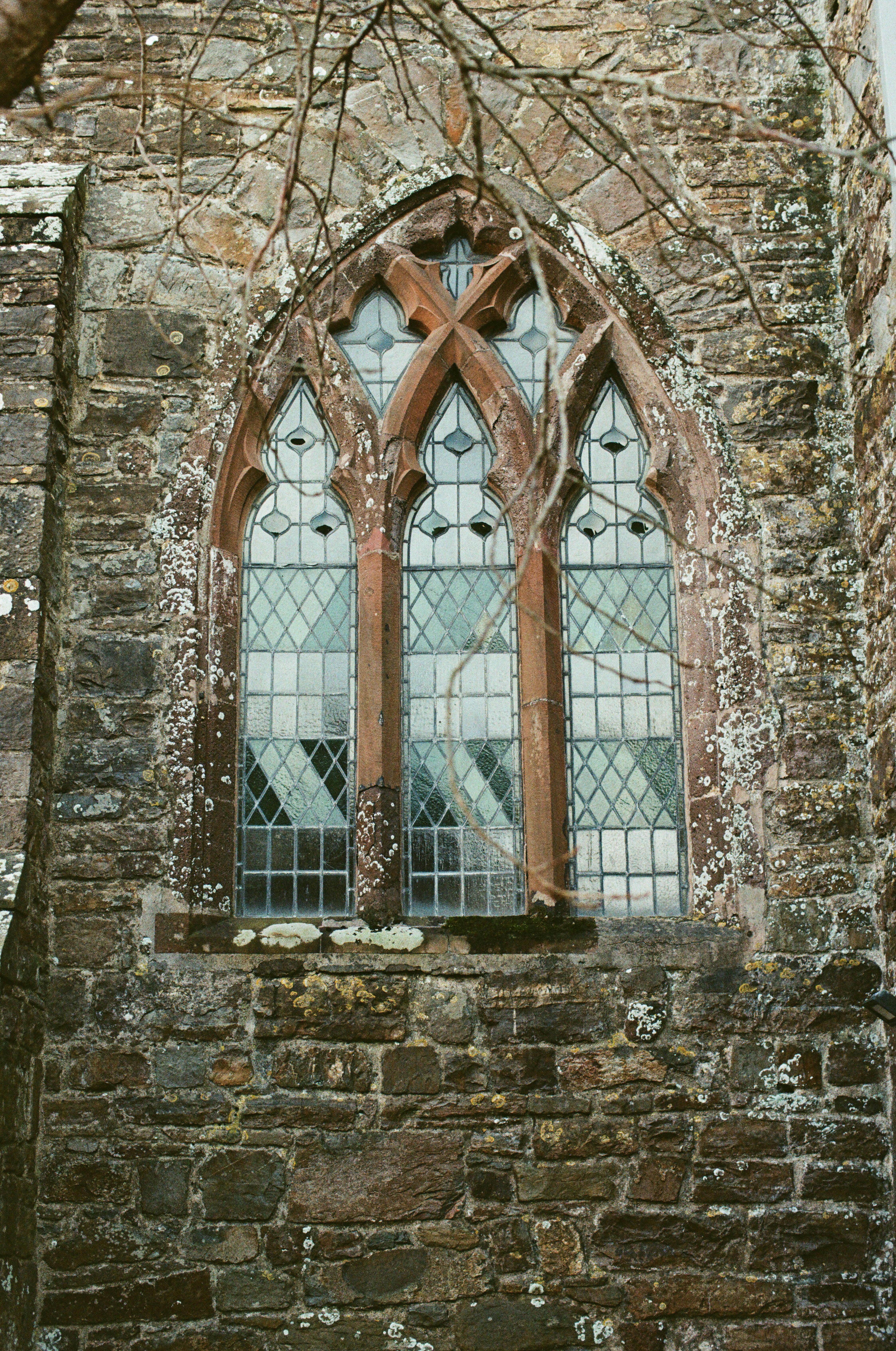 Photo by tanyabarrow