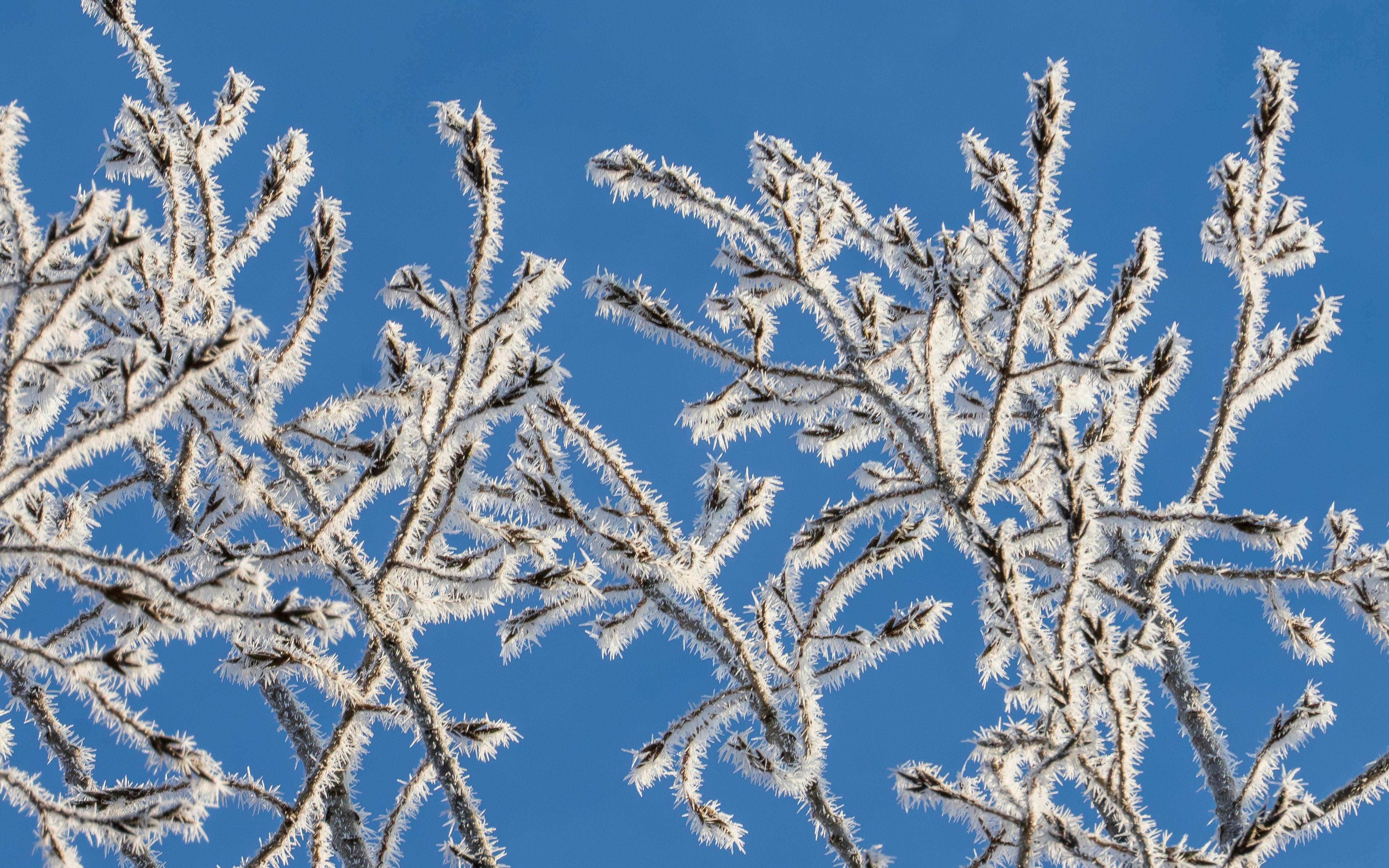 Photo by anton_lammert