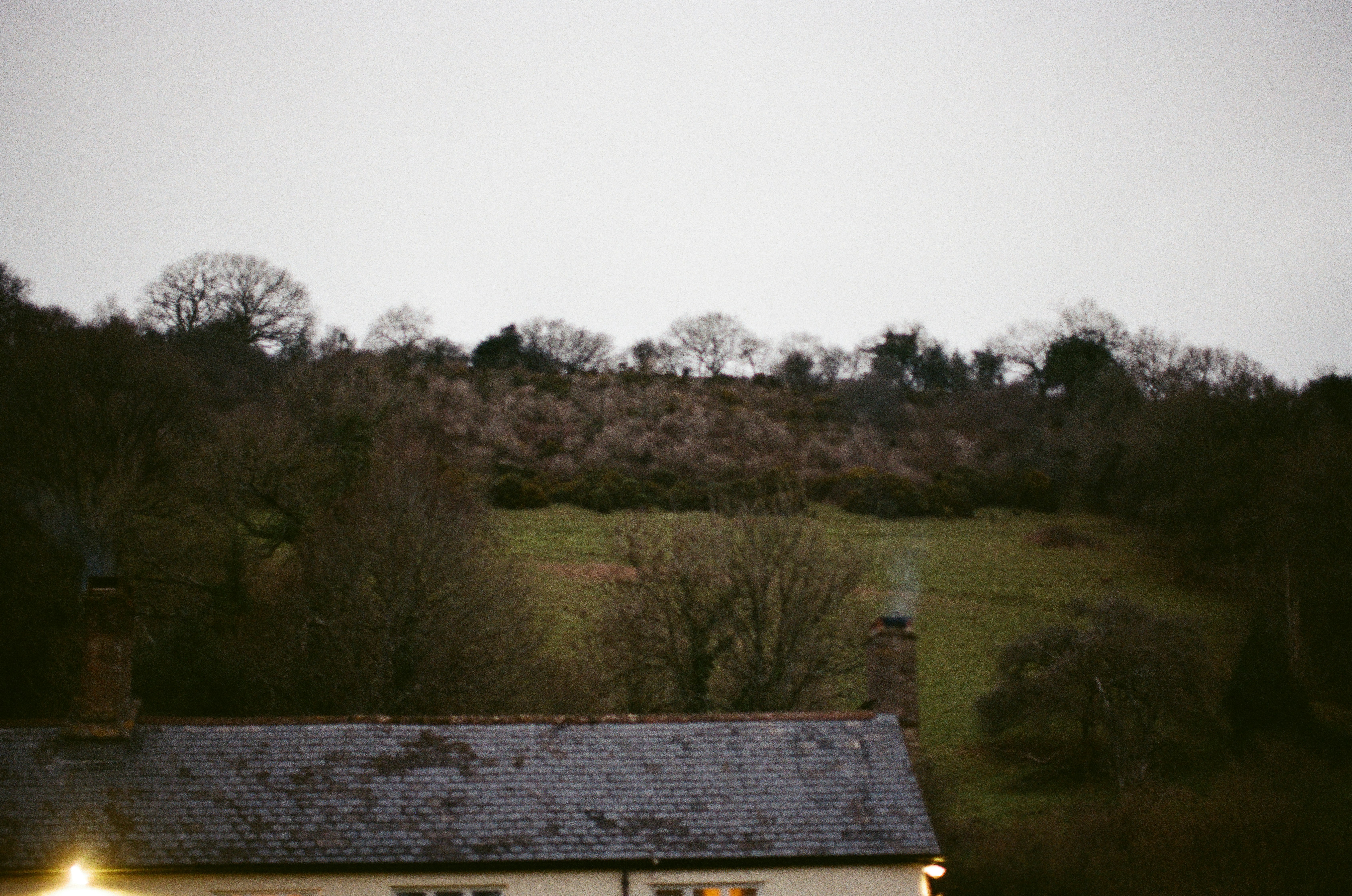 Photo by tanyabarrow