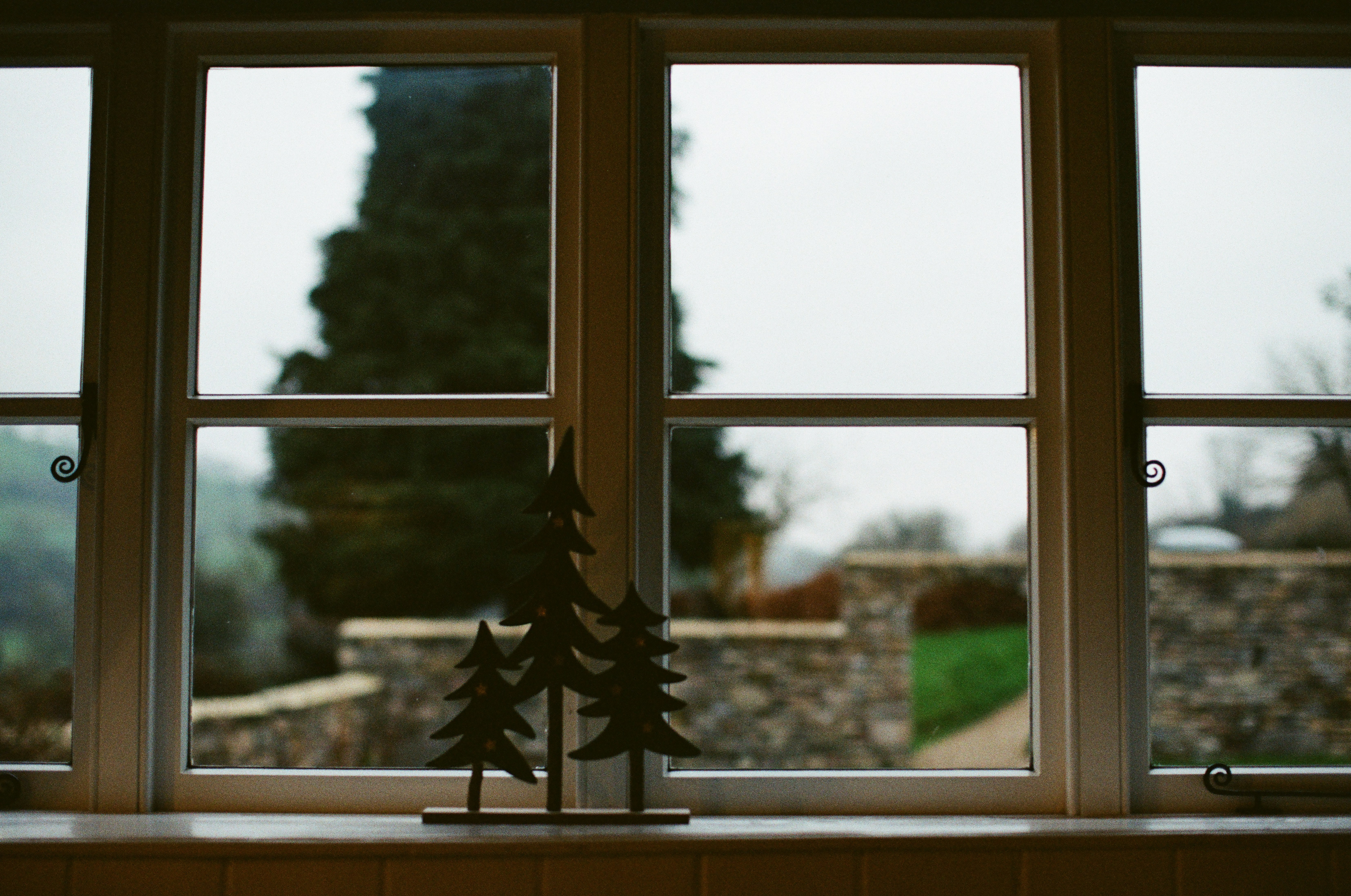 Photo by tanyabarrow