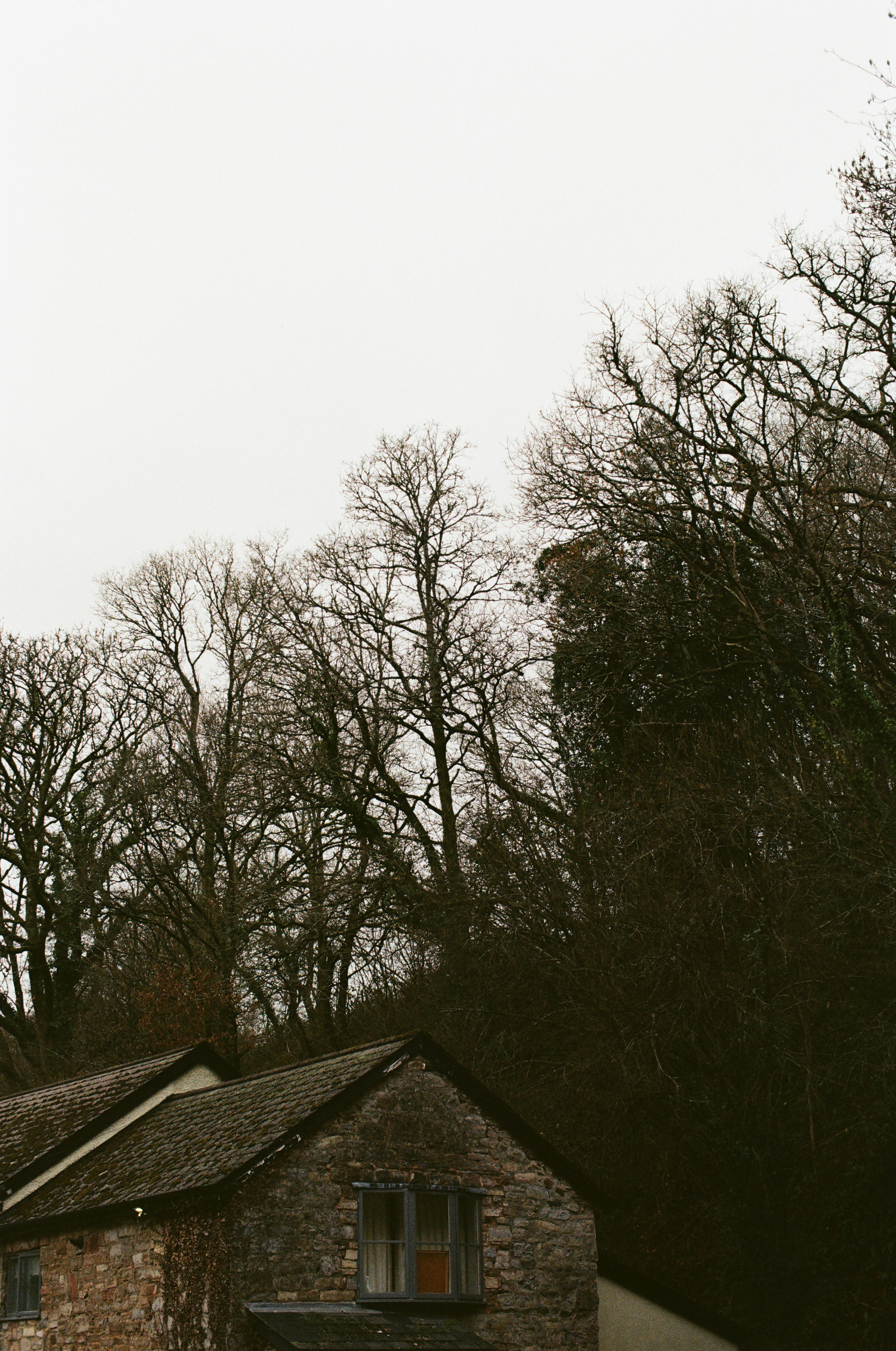 Photo by tanyabarrow