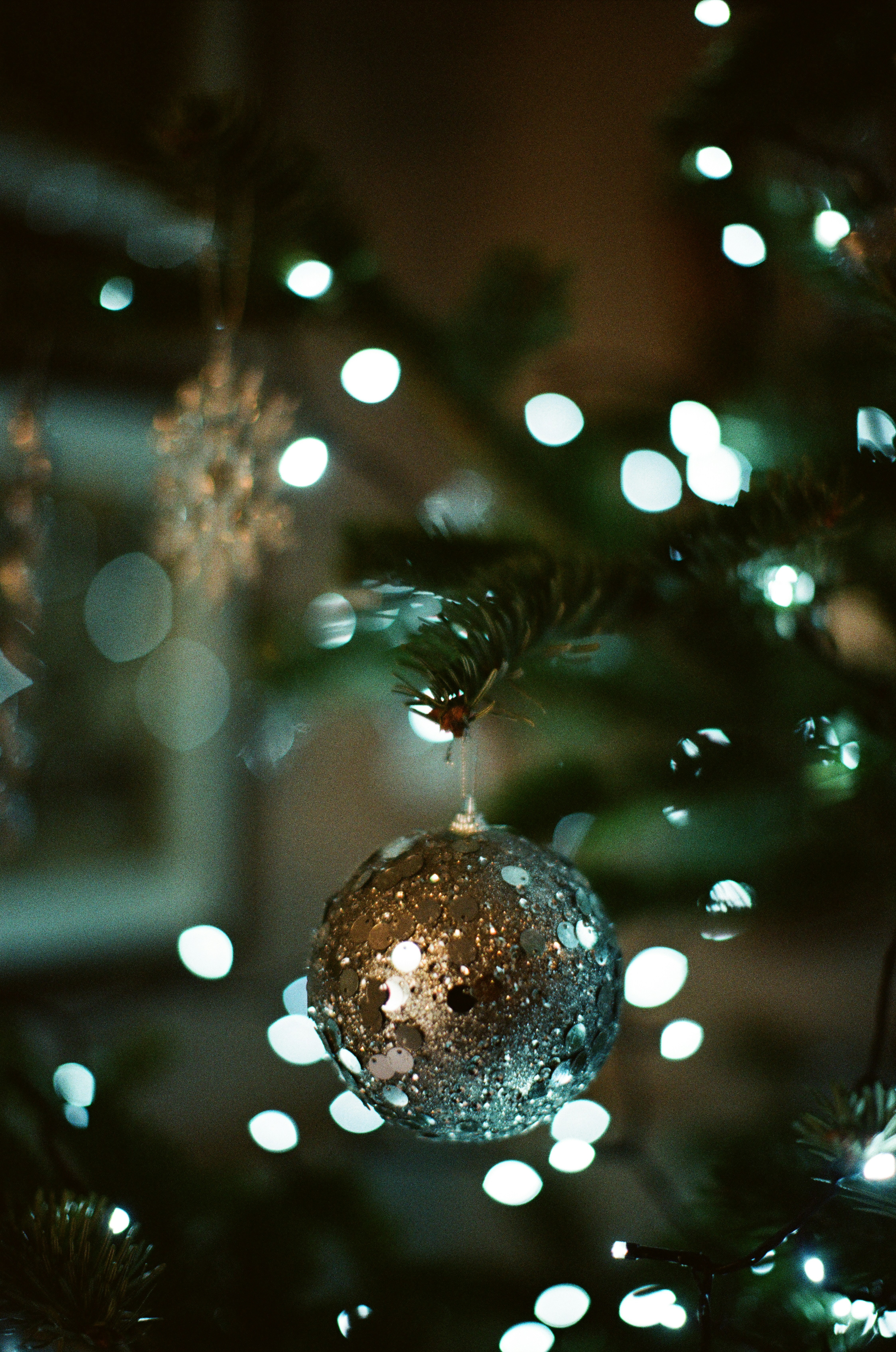 Photo by tanyabarrow