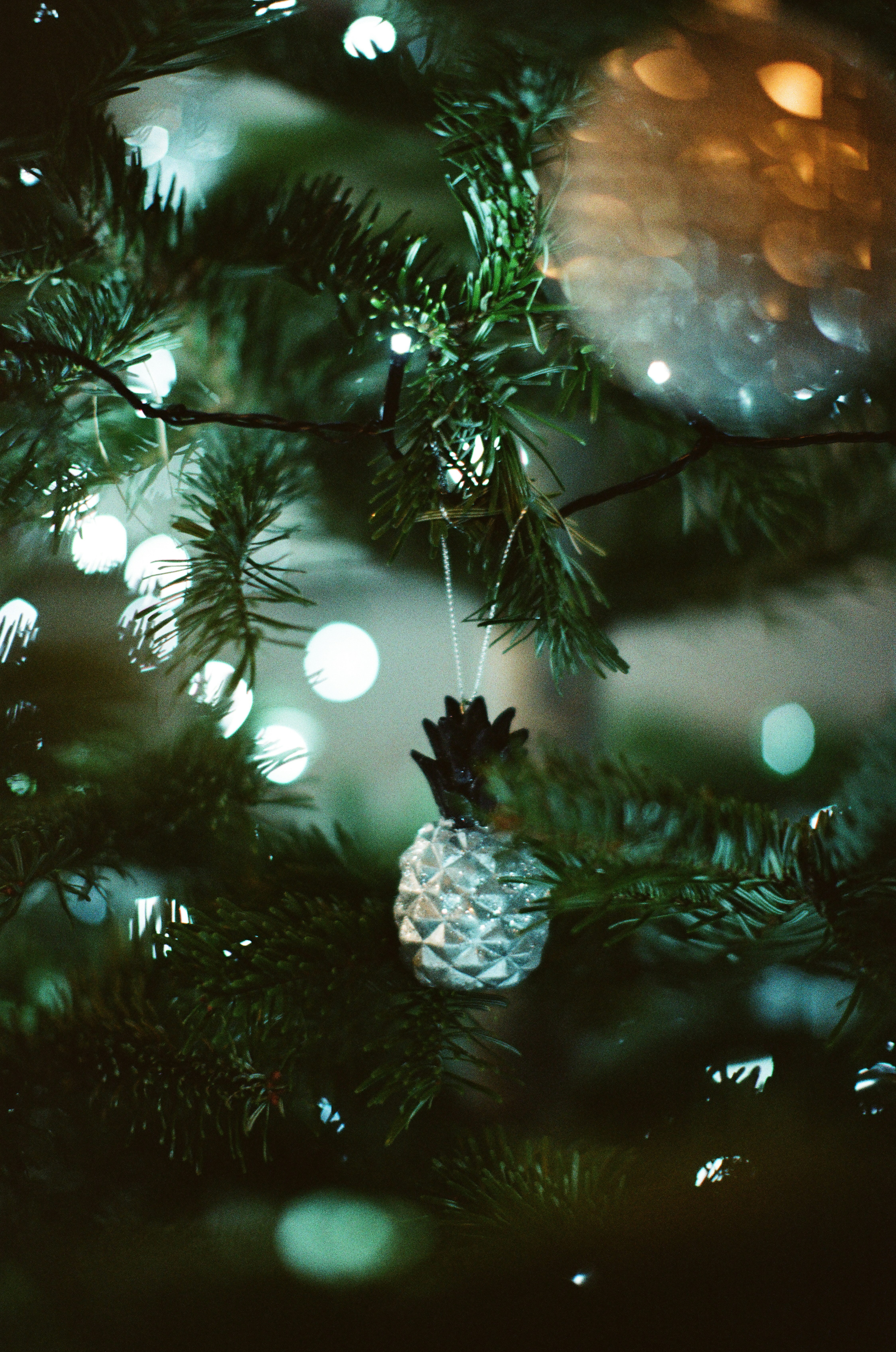 Photo by tanyabarrow