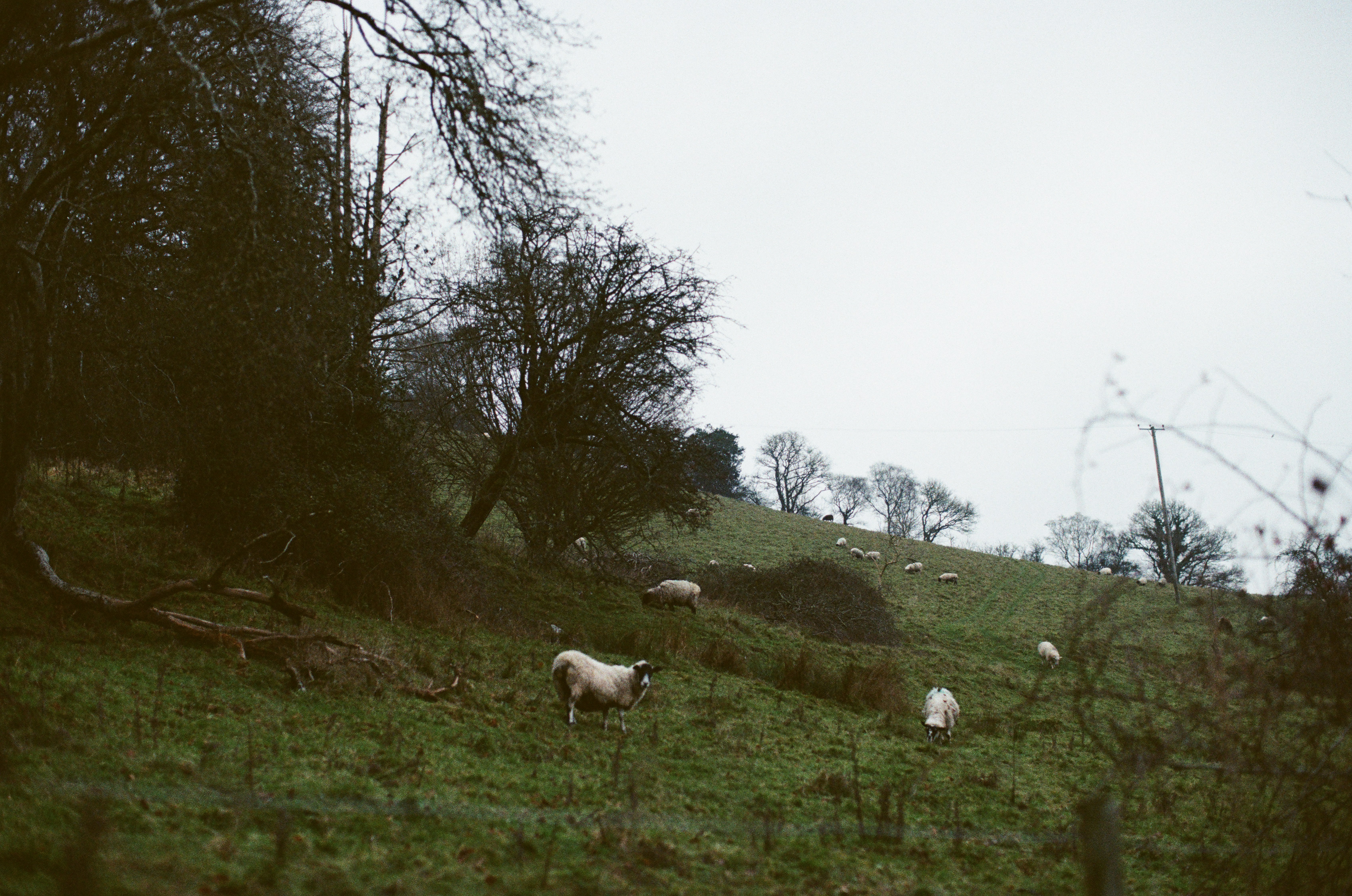 Photo by tanyabarrow