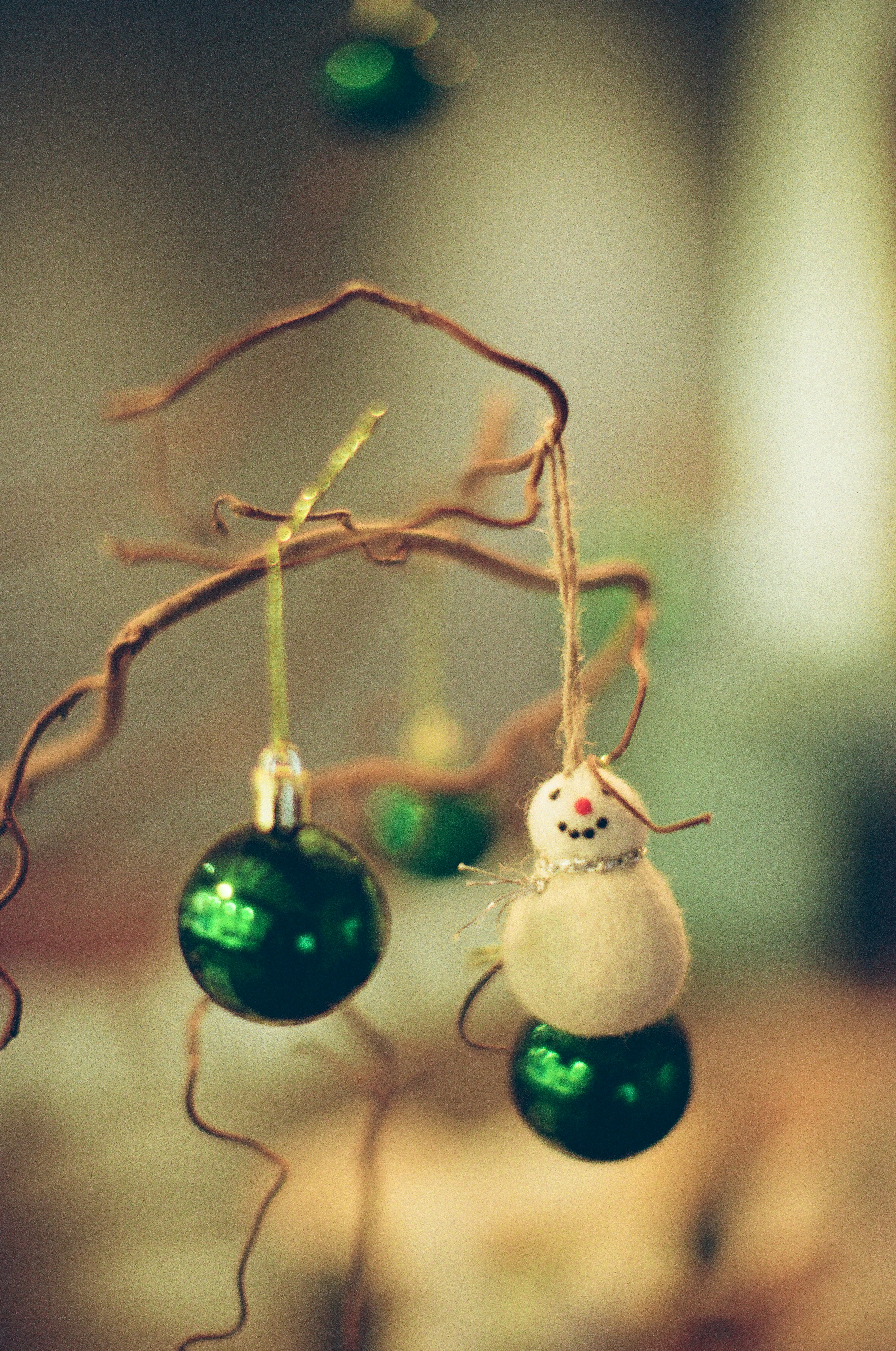 Photo by tanyabarrow