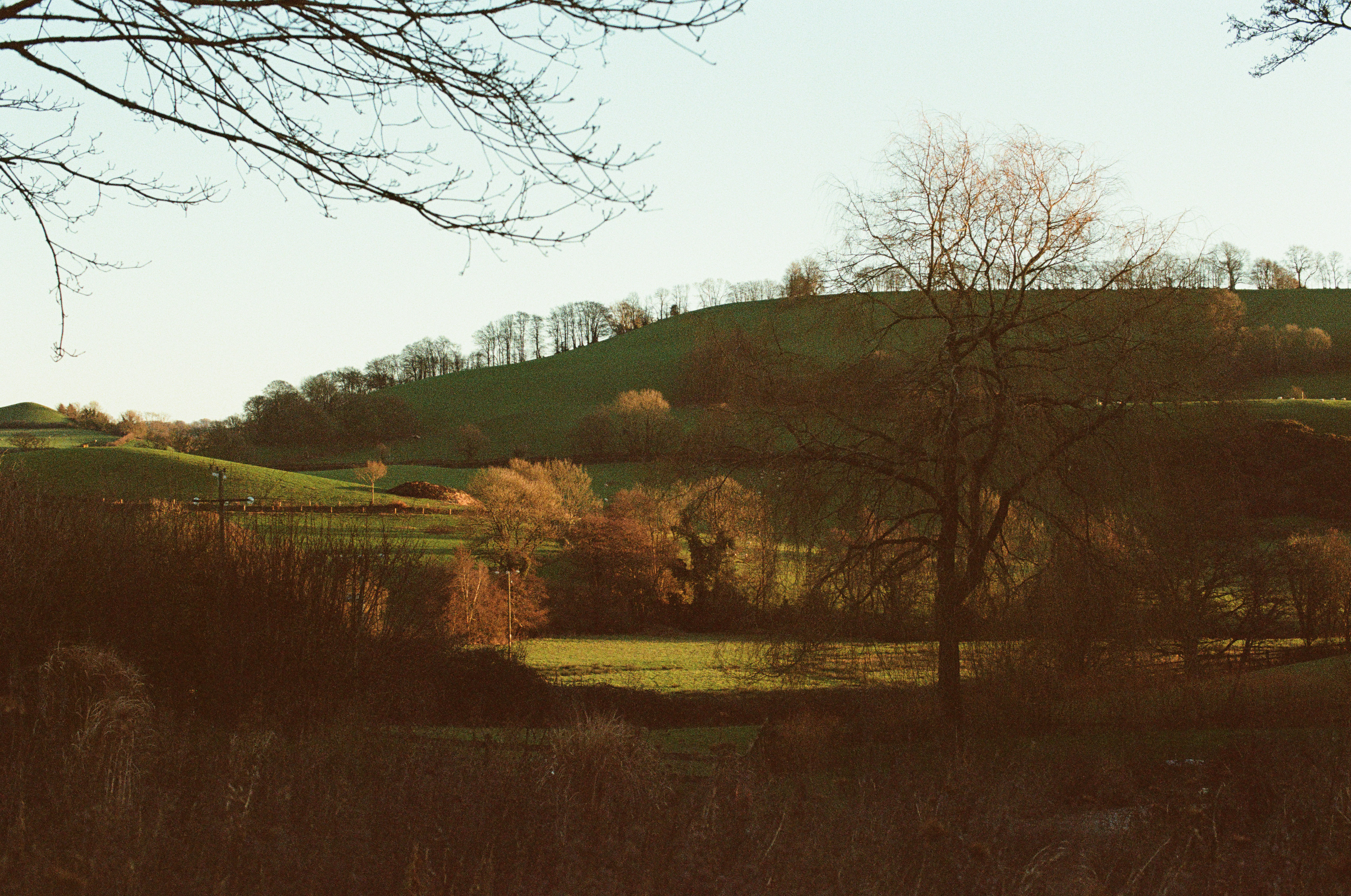 Photo by tanyabarrow