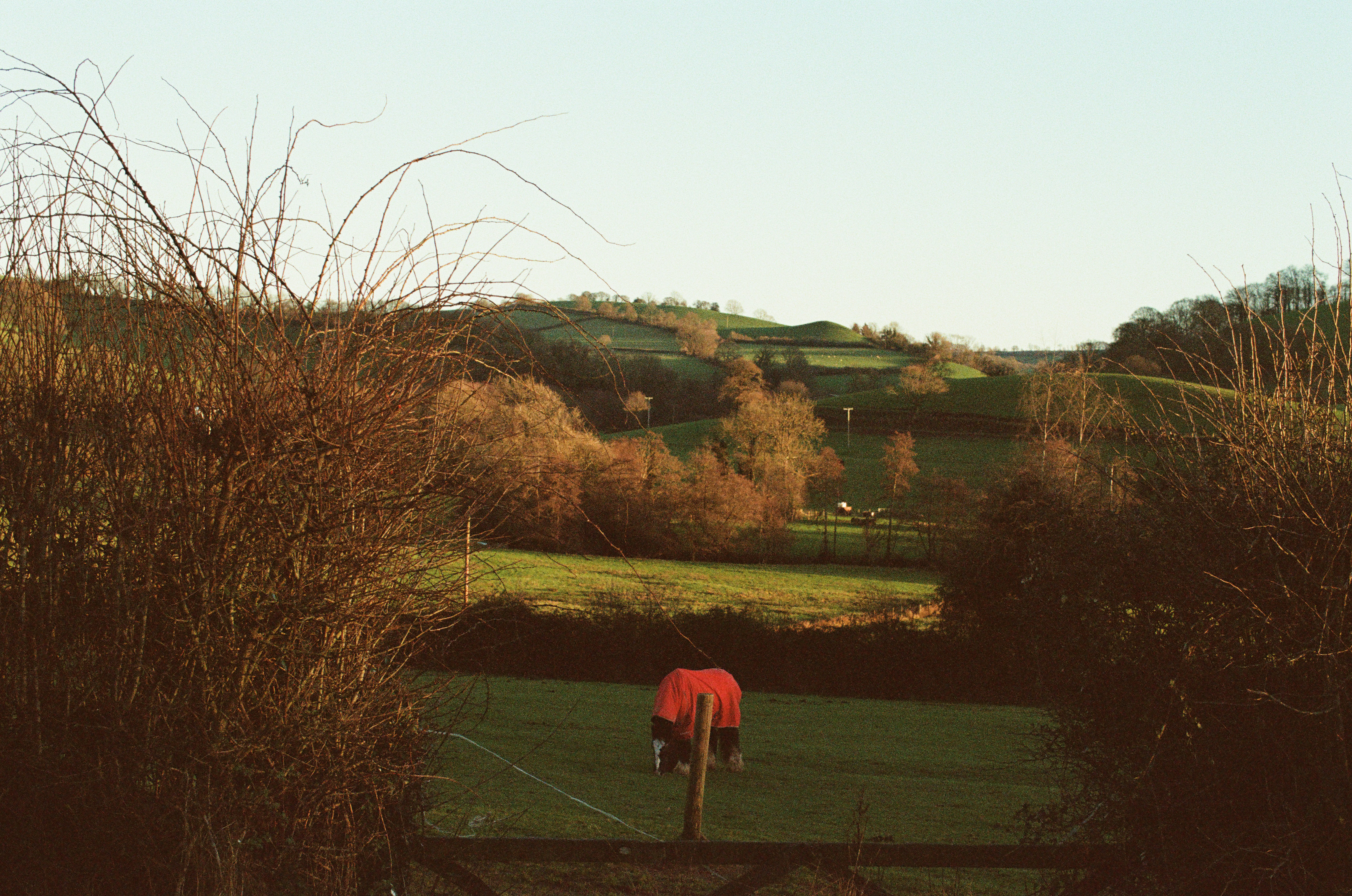 Photo by tanyabarrow