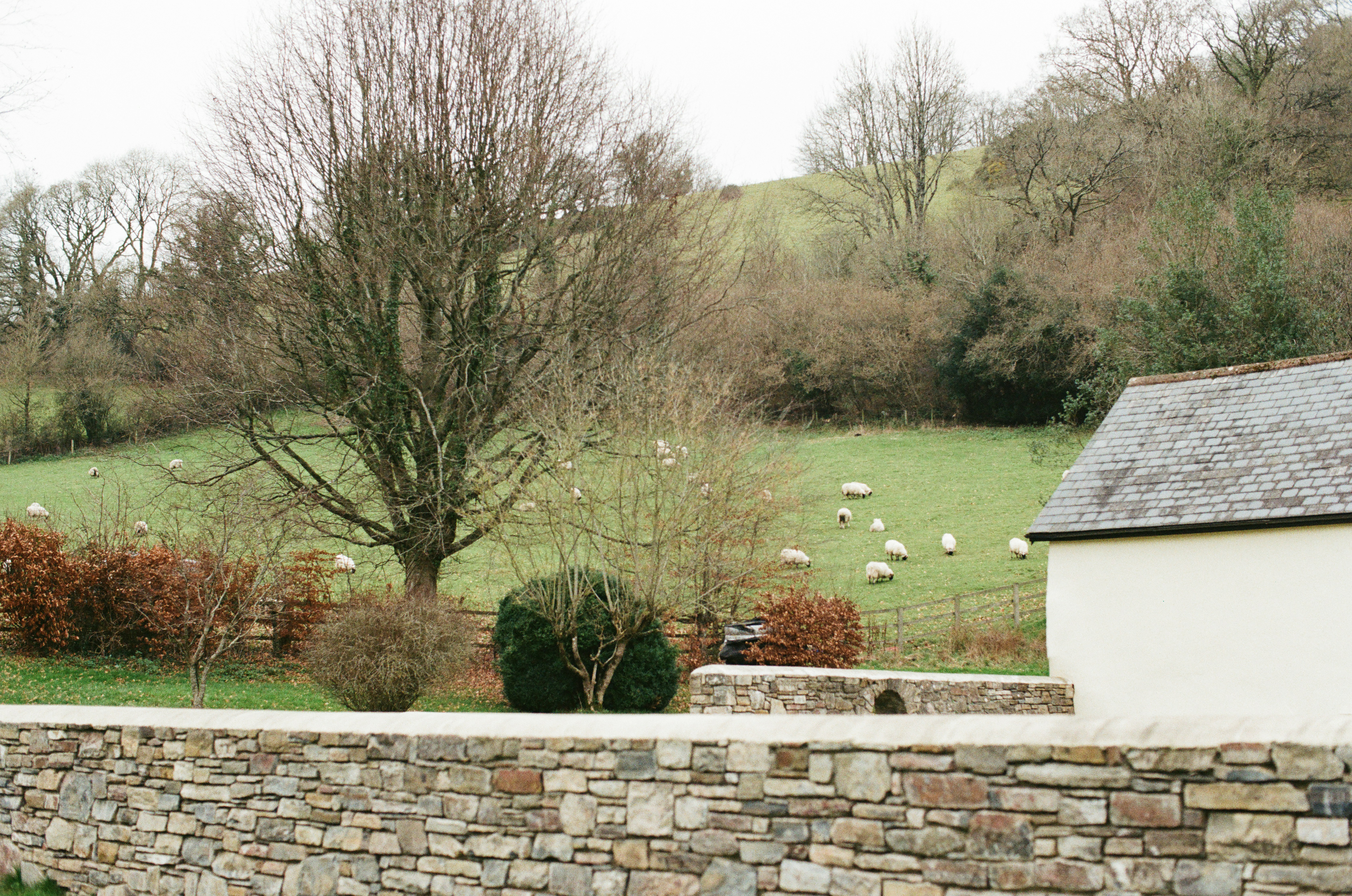 Photo by tanyabarrow