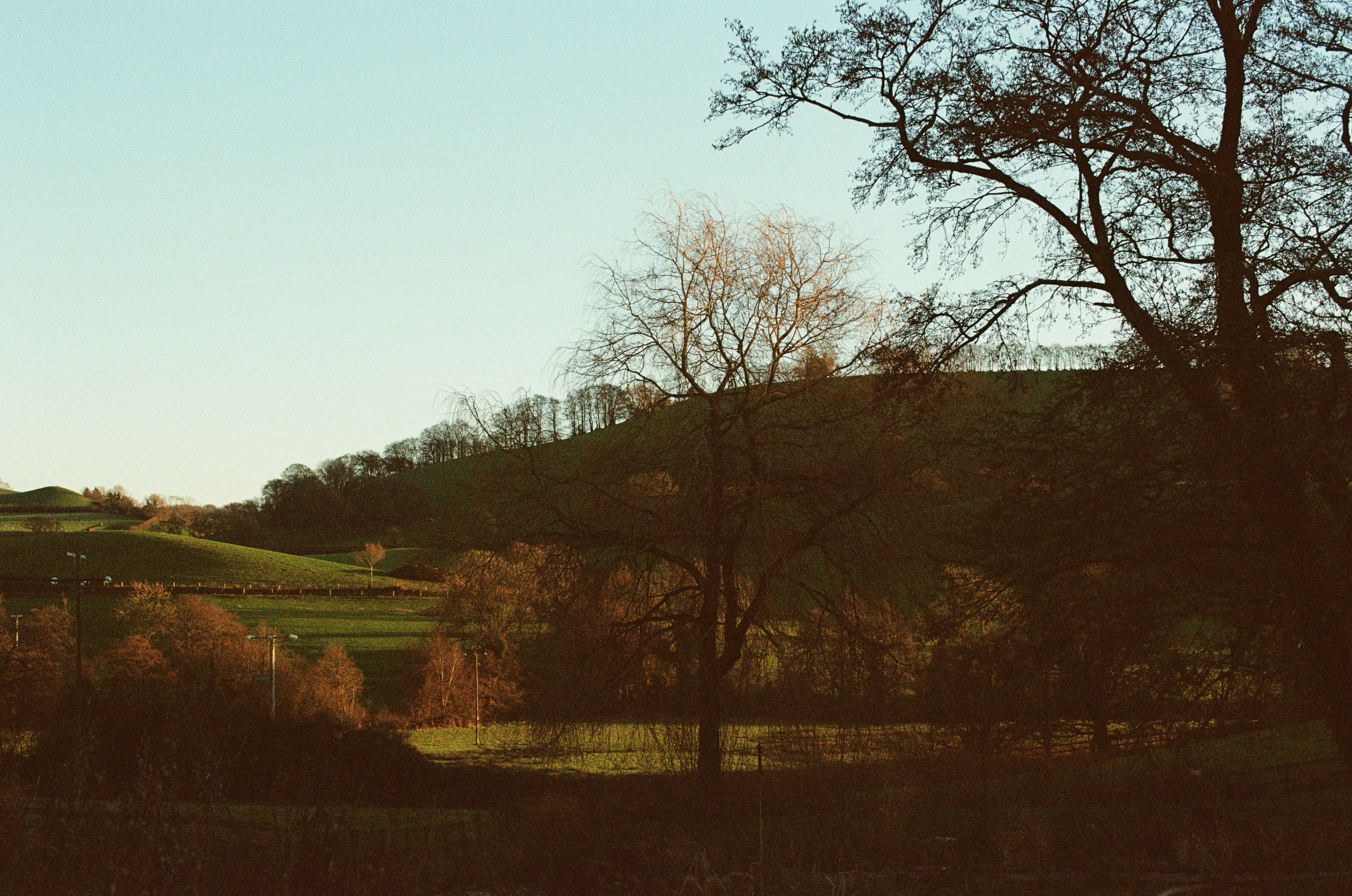 Photo by tanyabarrow