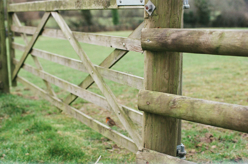 Wooden farm gate on a post in a green field