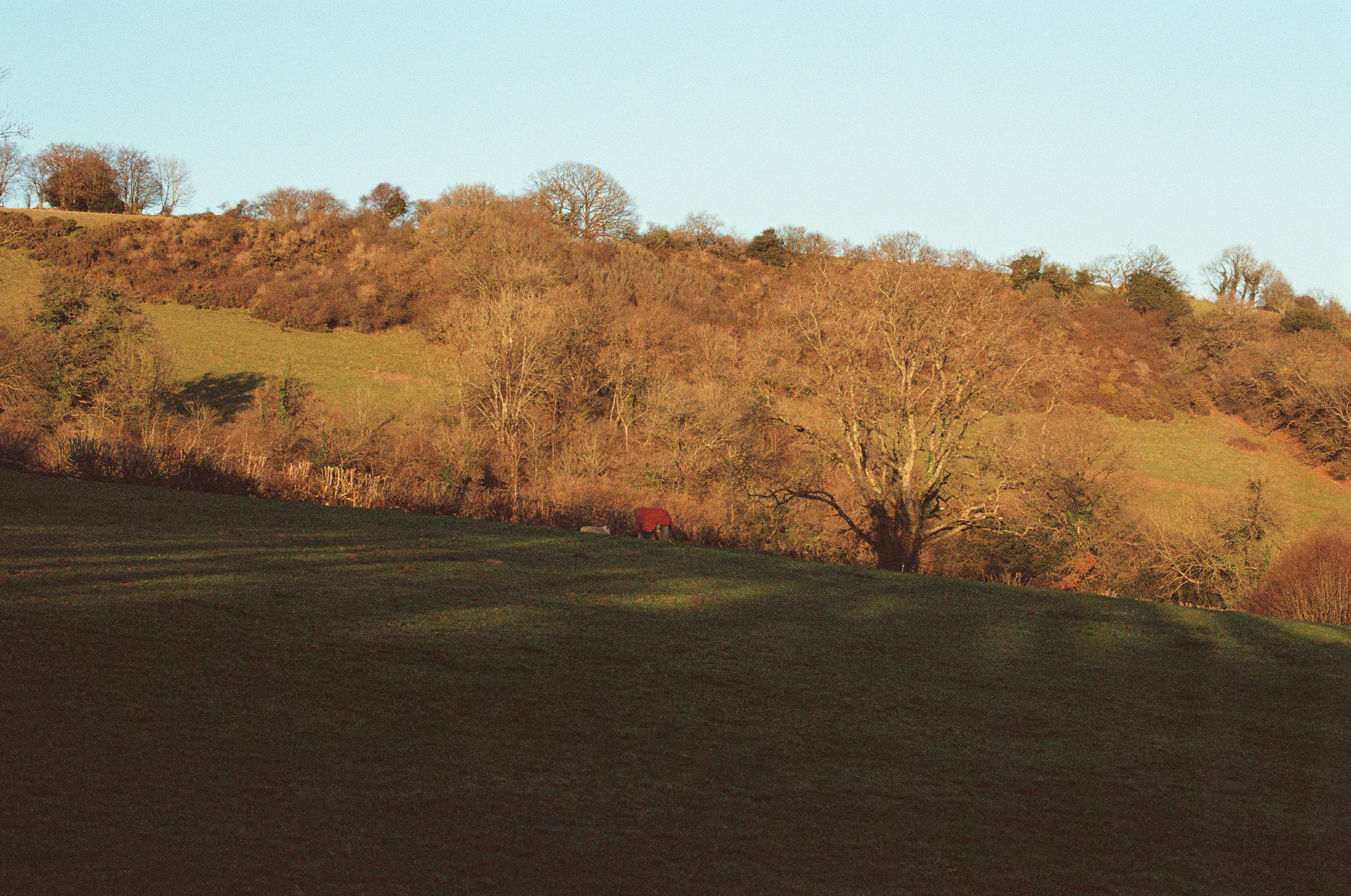 Photo by tanyabarrow