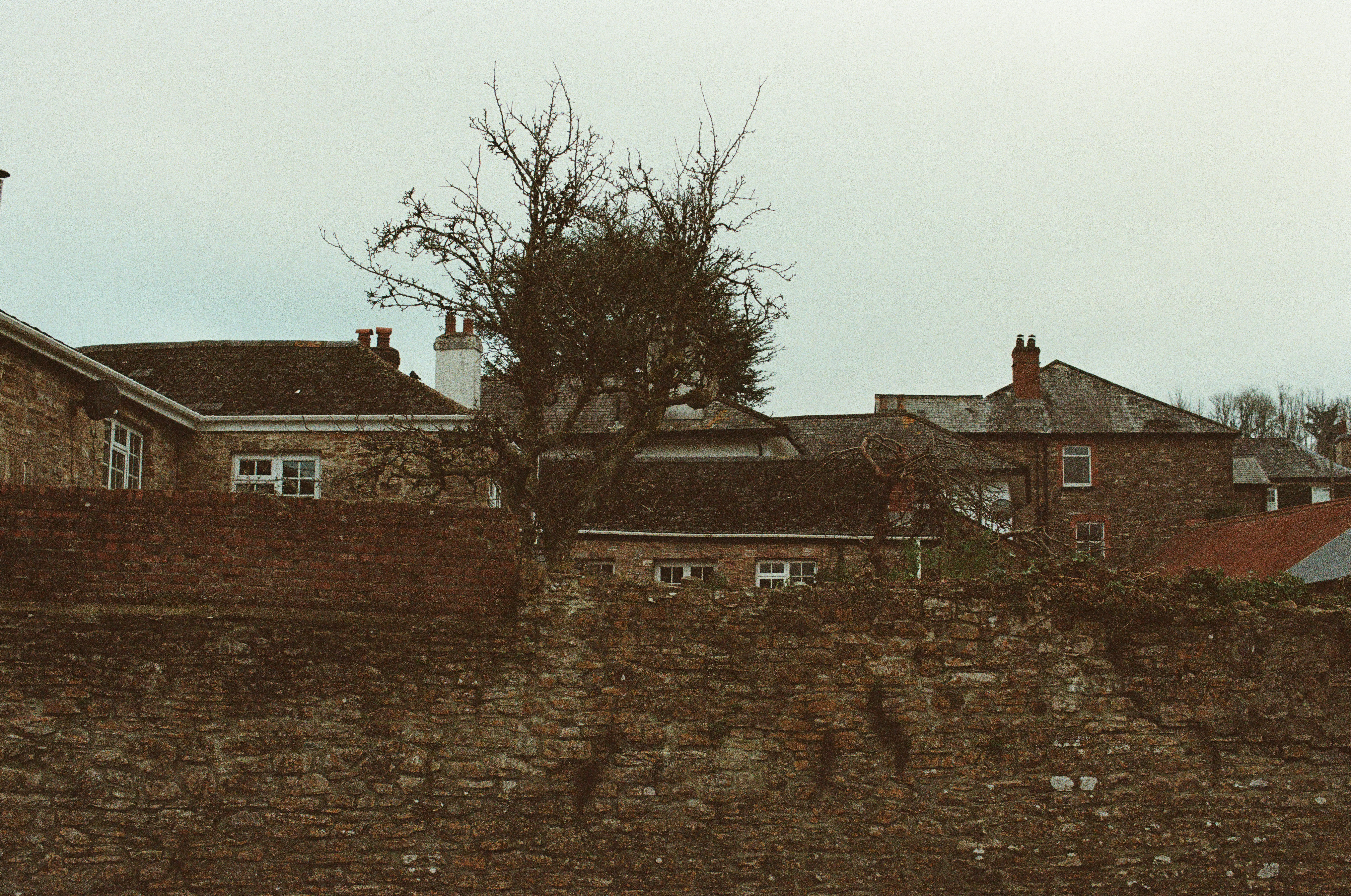 Photo by tanyabarrow