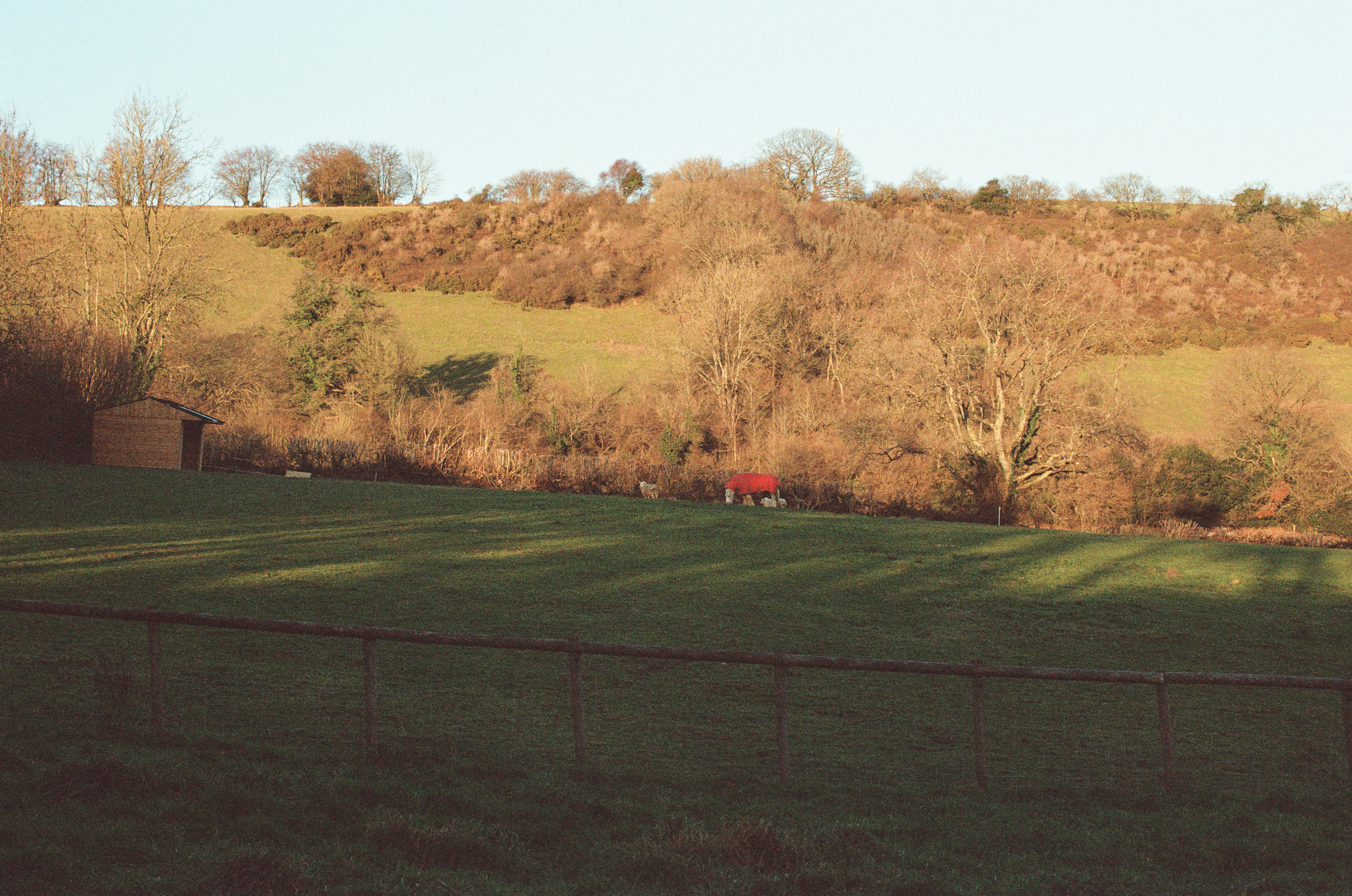 Photo by tanyabarrow