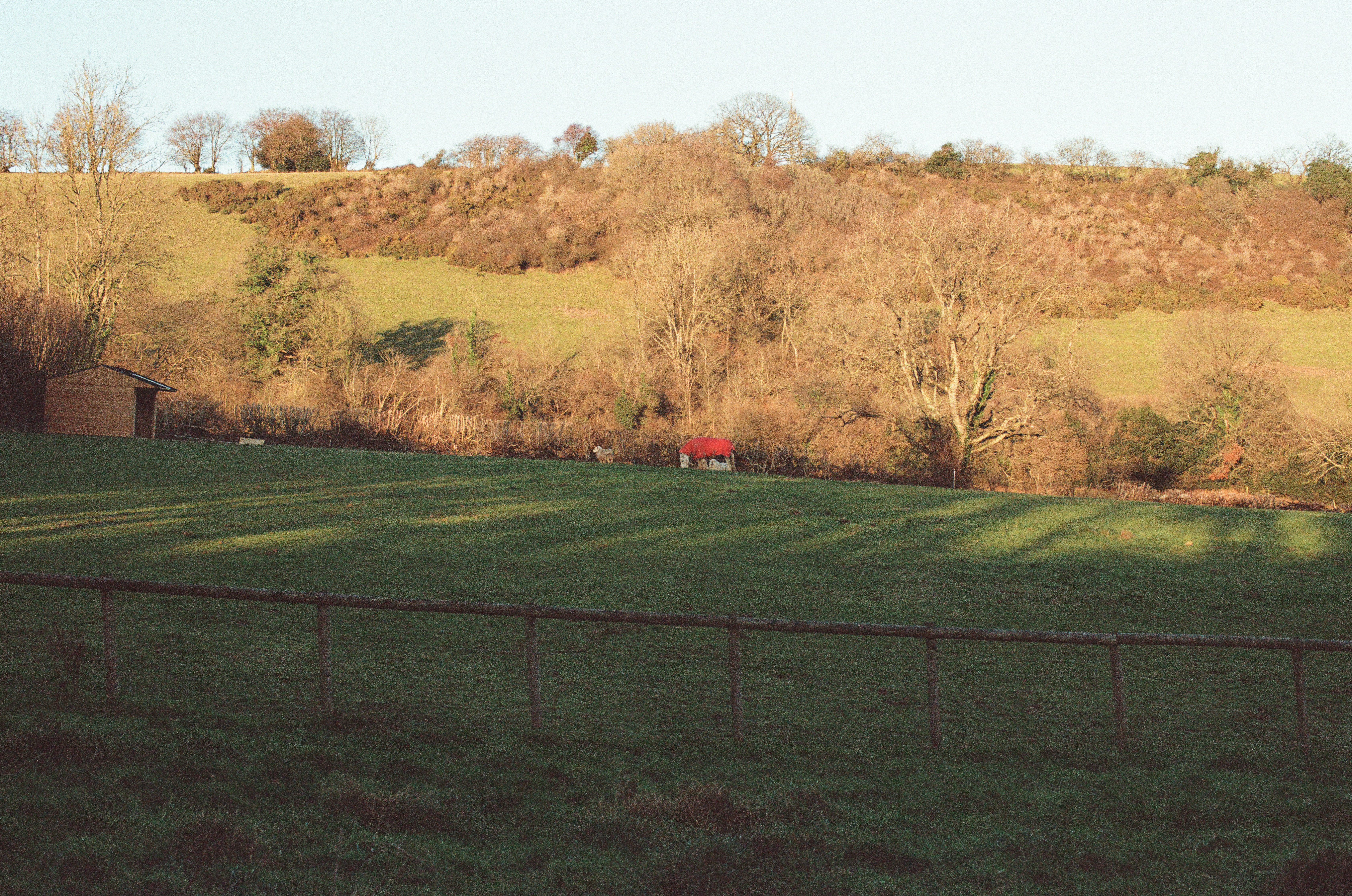 Photo by tanyabarrow