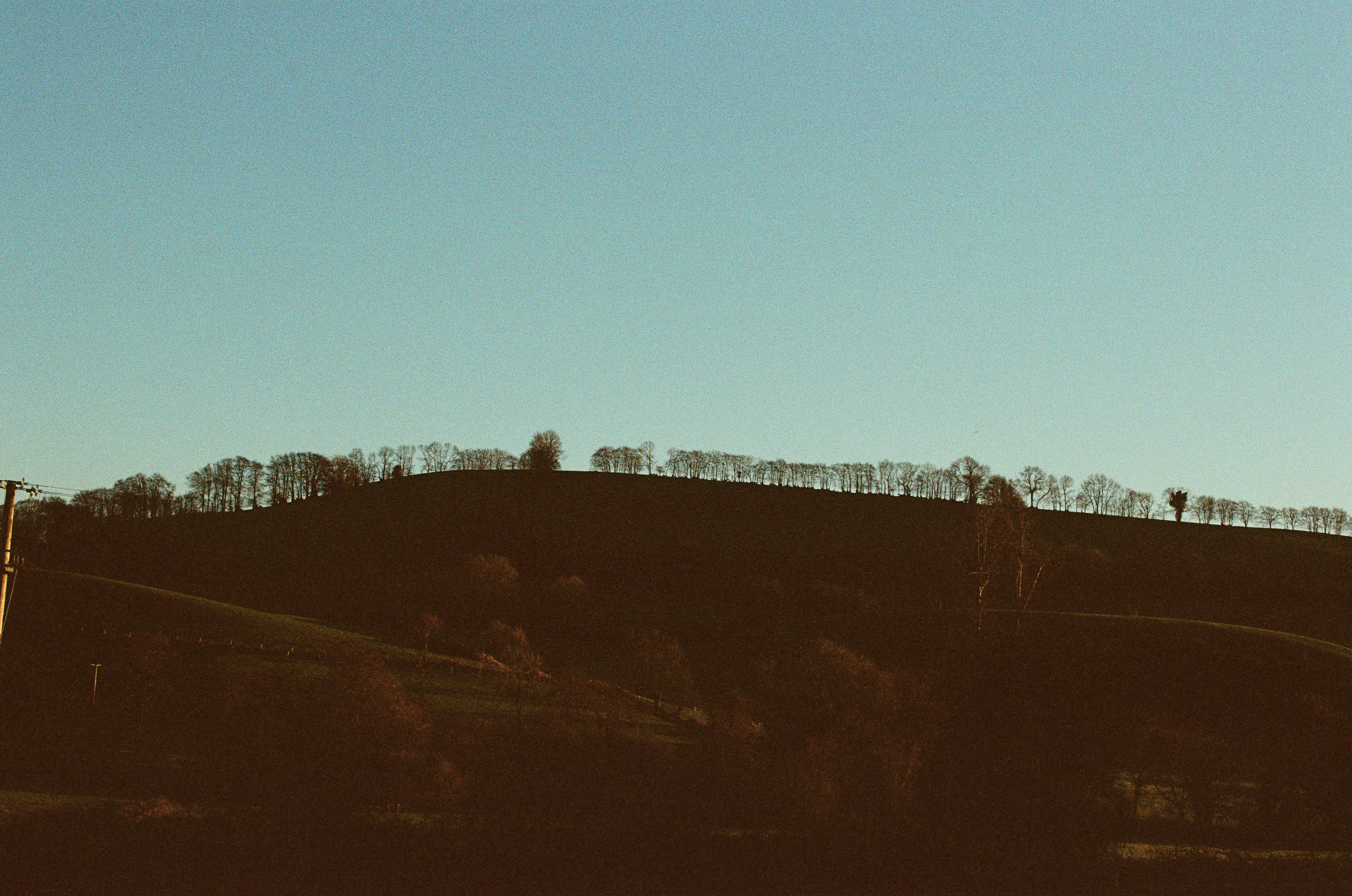 Photo by tanyabarrow