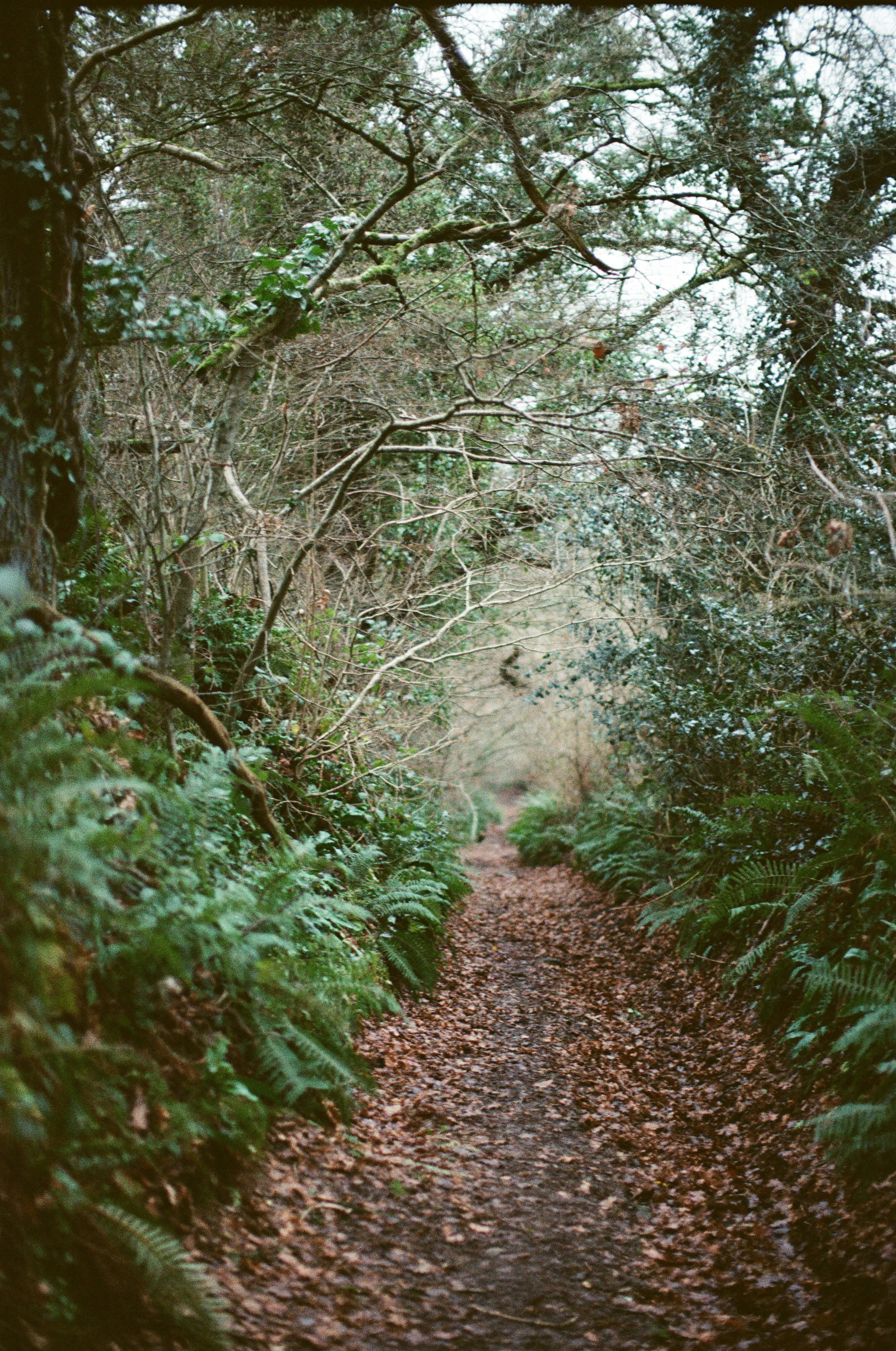 Photo by tanyabarrow