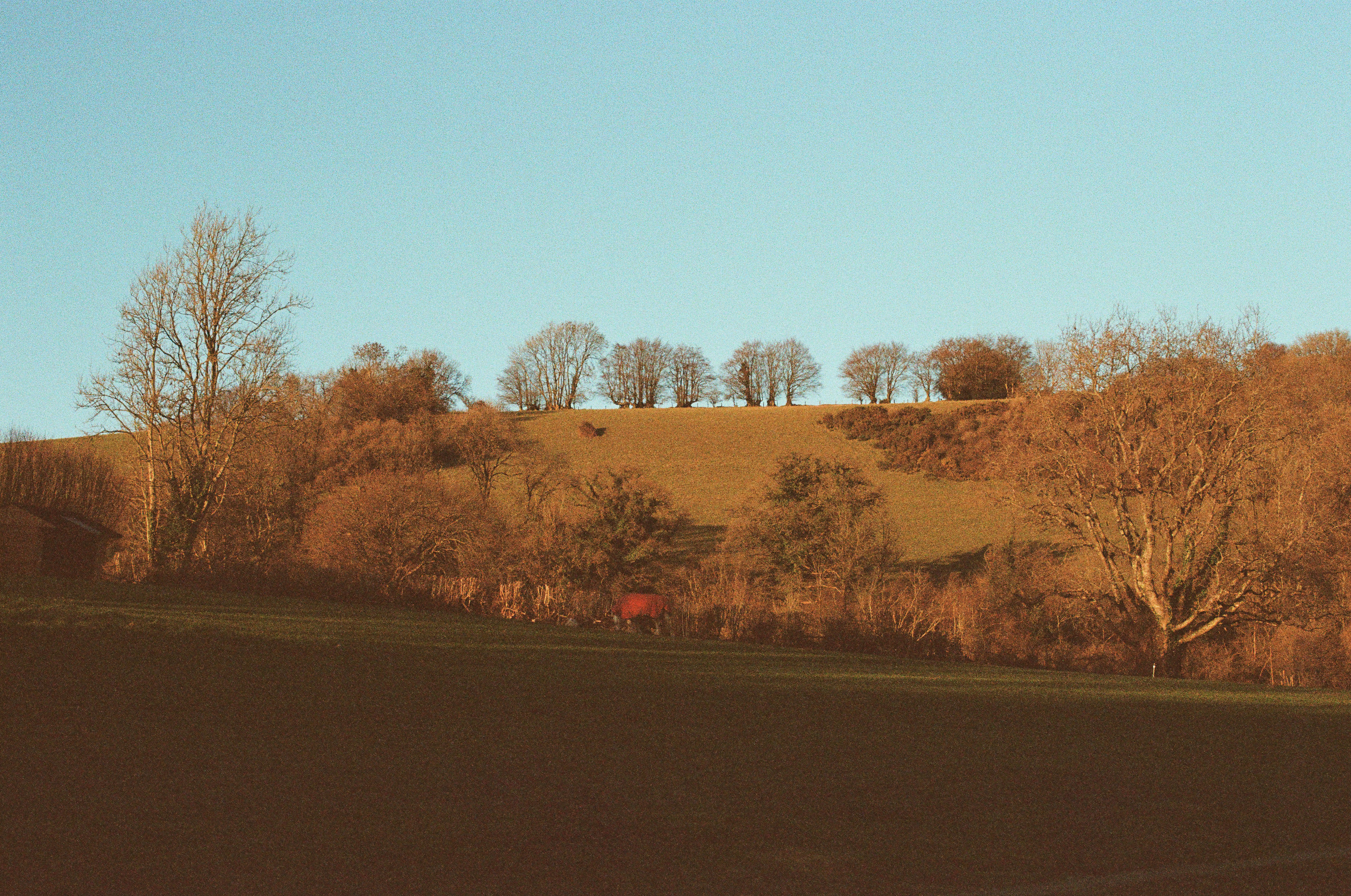 Photo by tanyabarrow