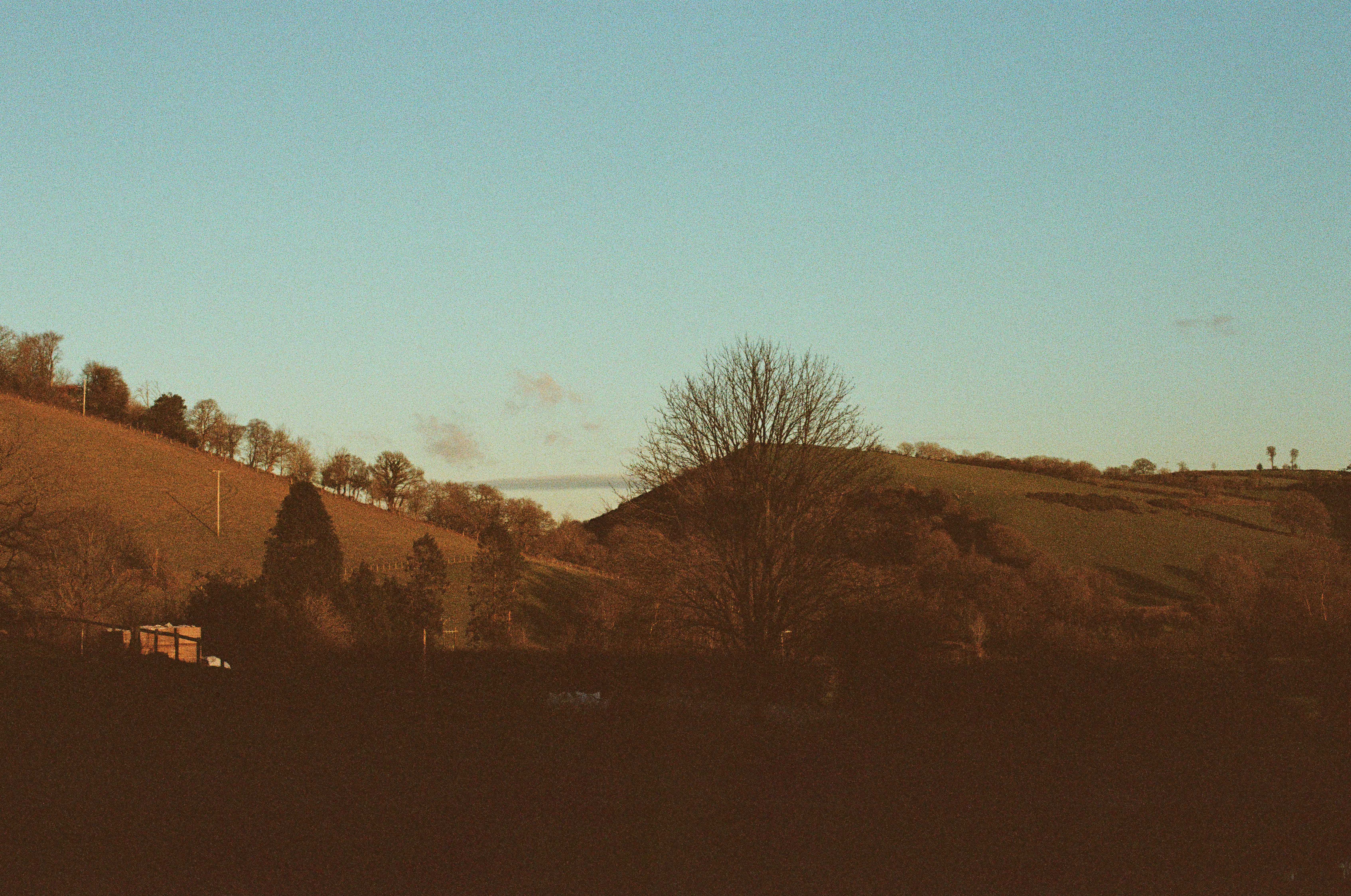 Photo by tanyabarrow