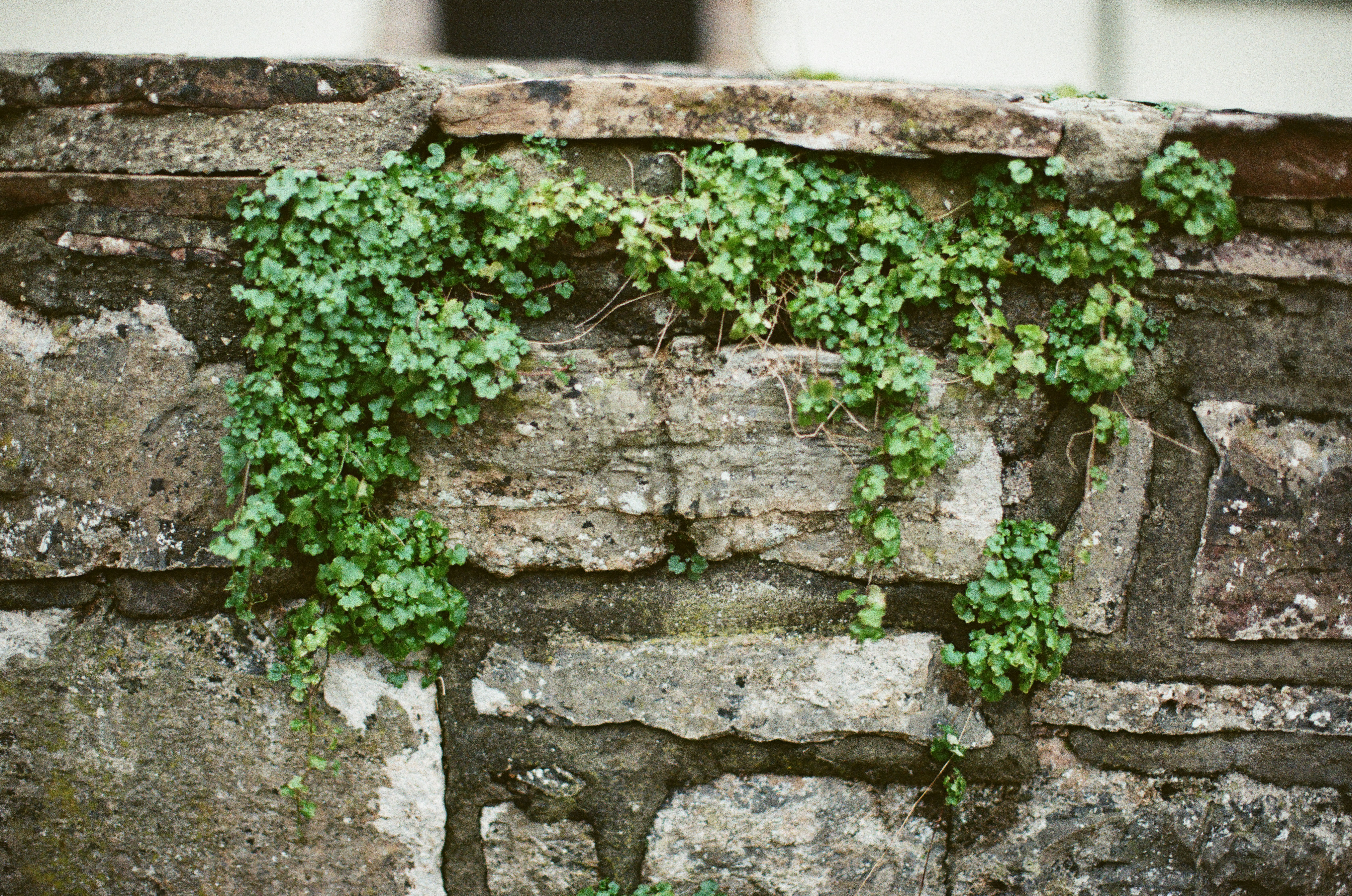 Photo by tanyabarrow