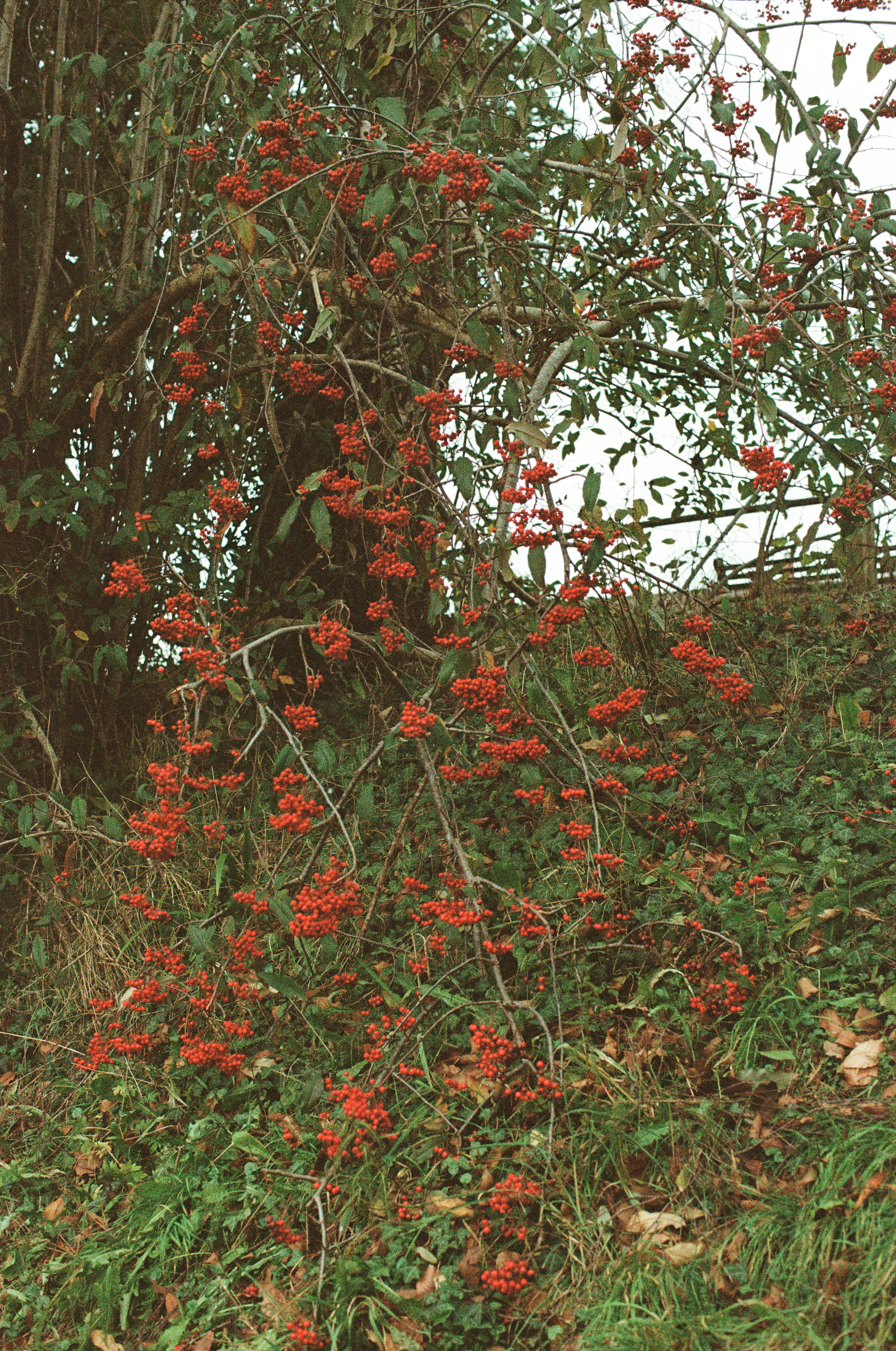 Photo by tanyabarrow