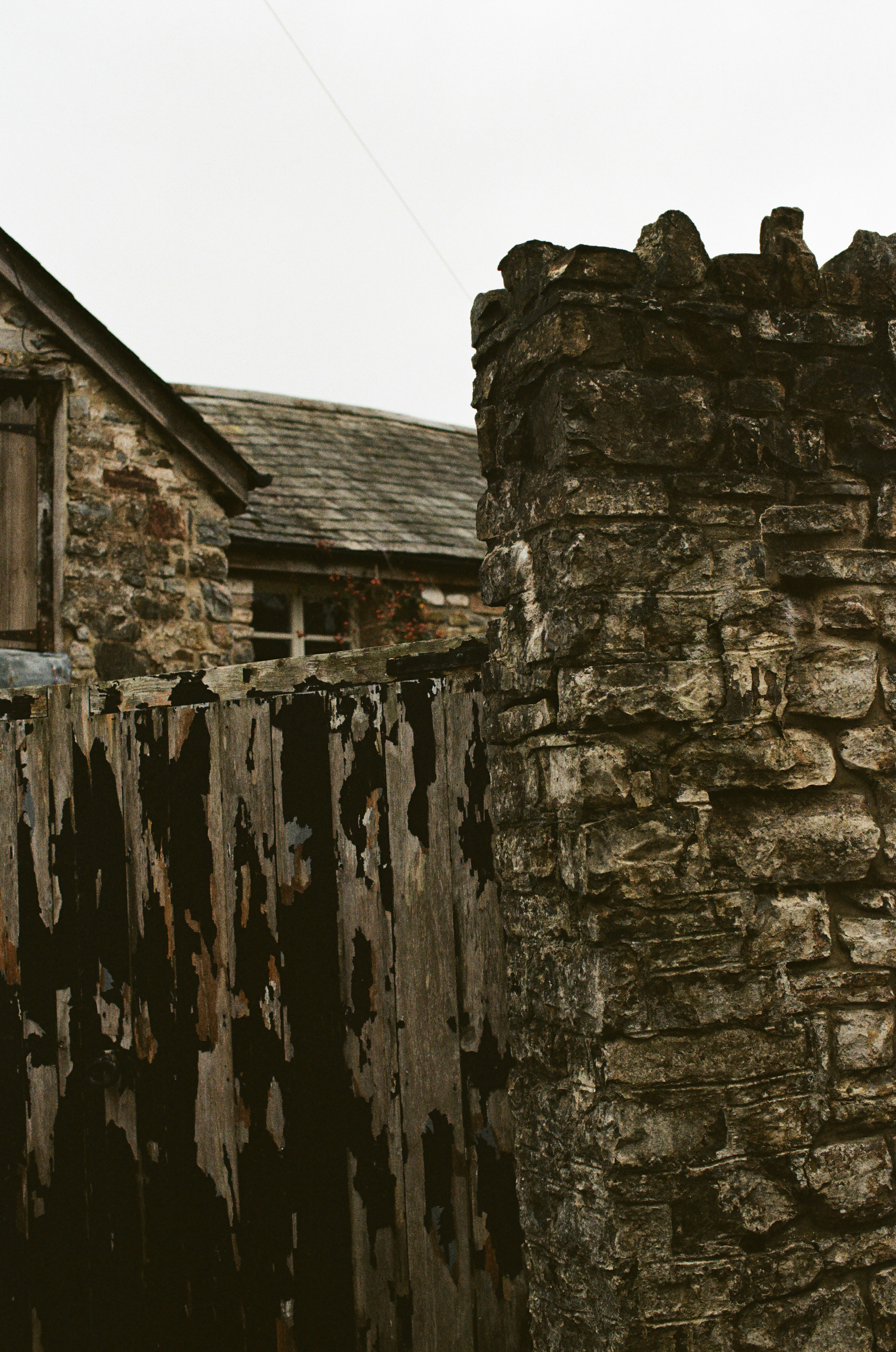 Photo by tanyabarrow