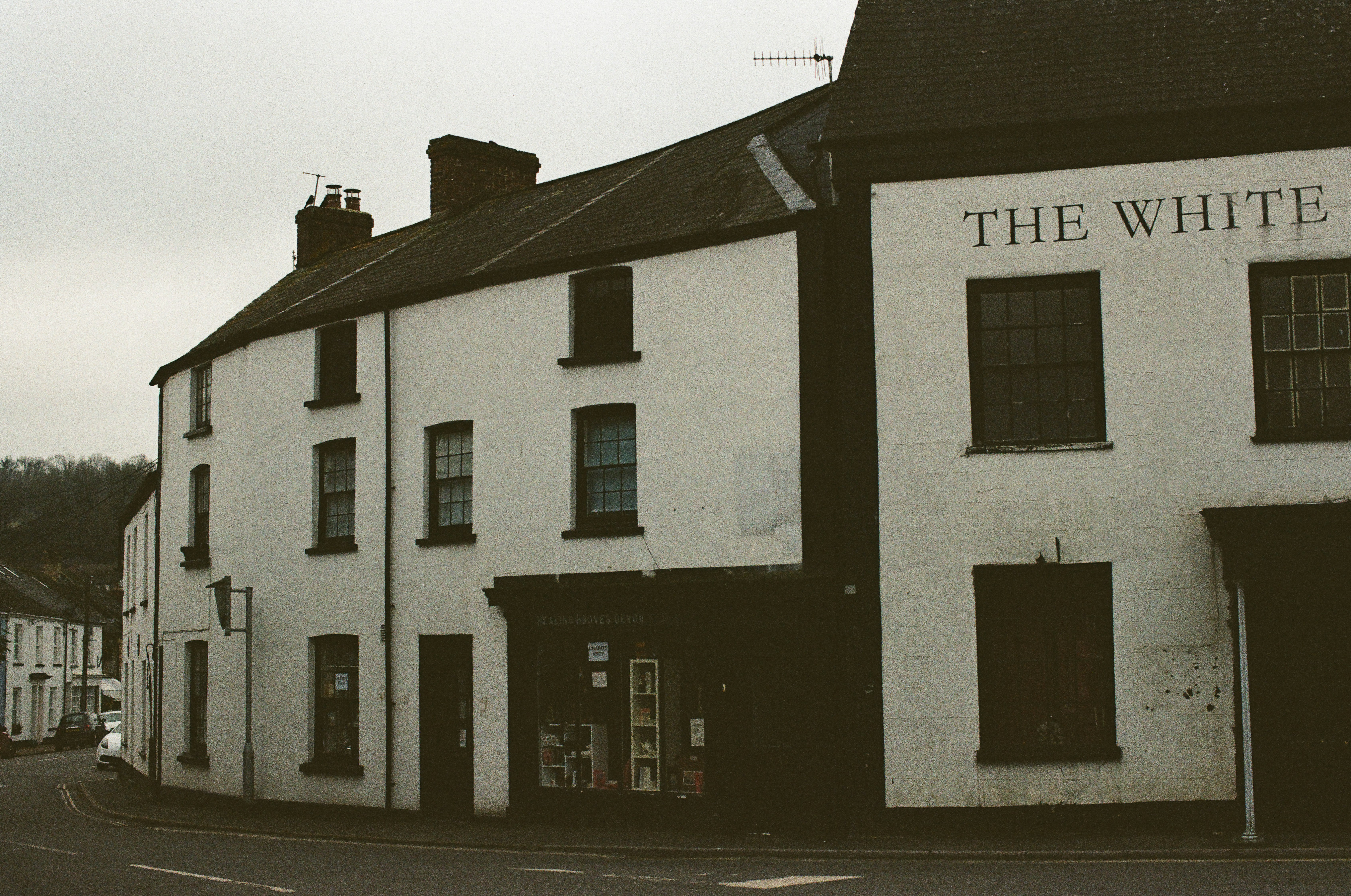 Photo by tanyabarrow