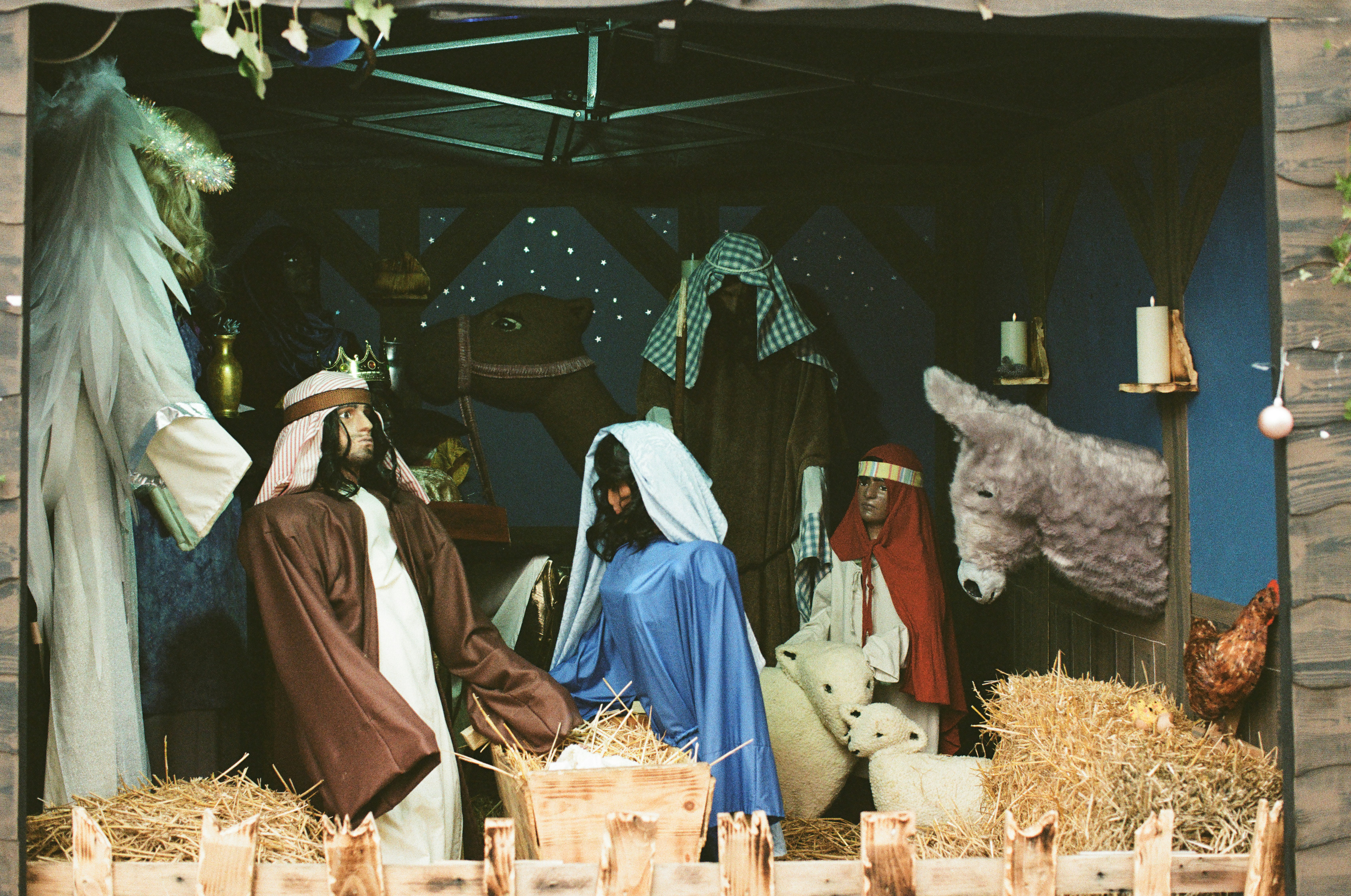 Nativity scene with figures and animals in stable