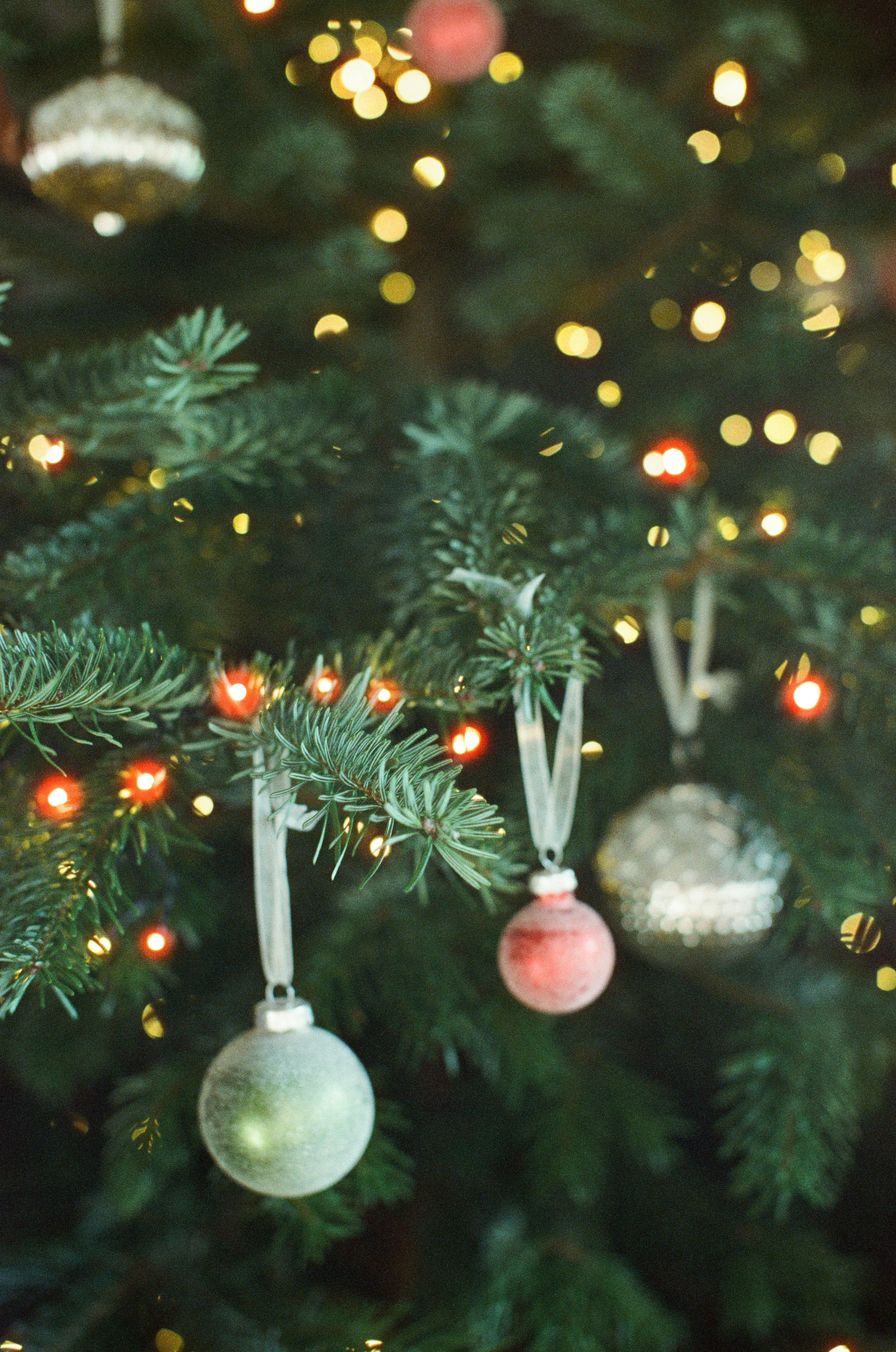 Photo by tanyabarrow