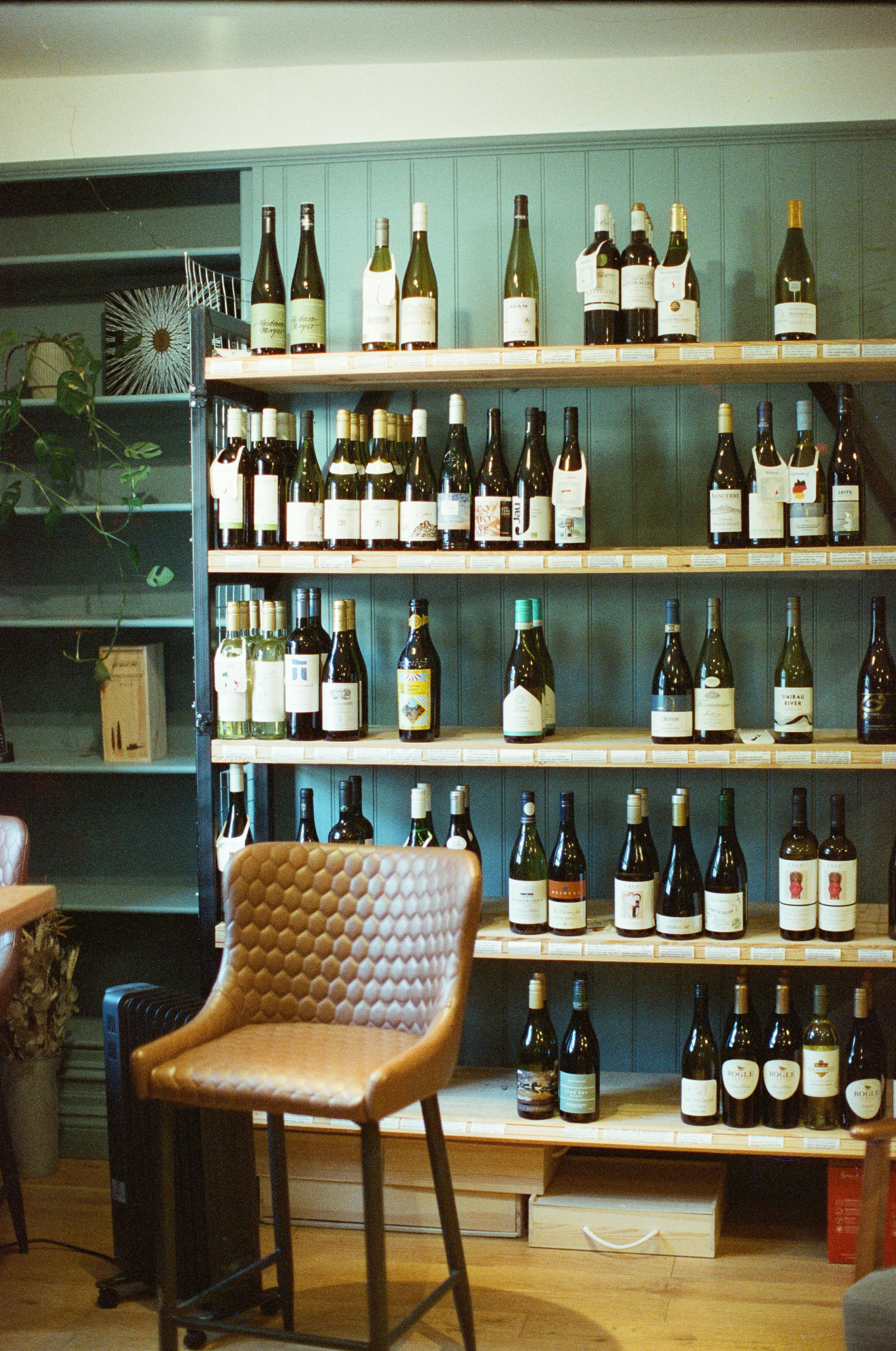 Outdoor portrait with consistent warm tones across shoot