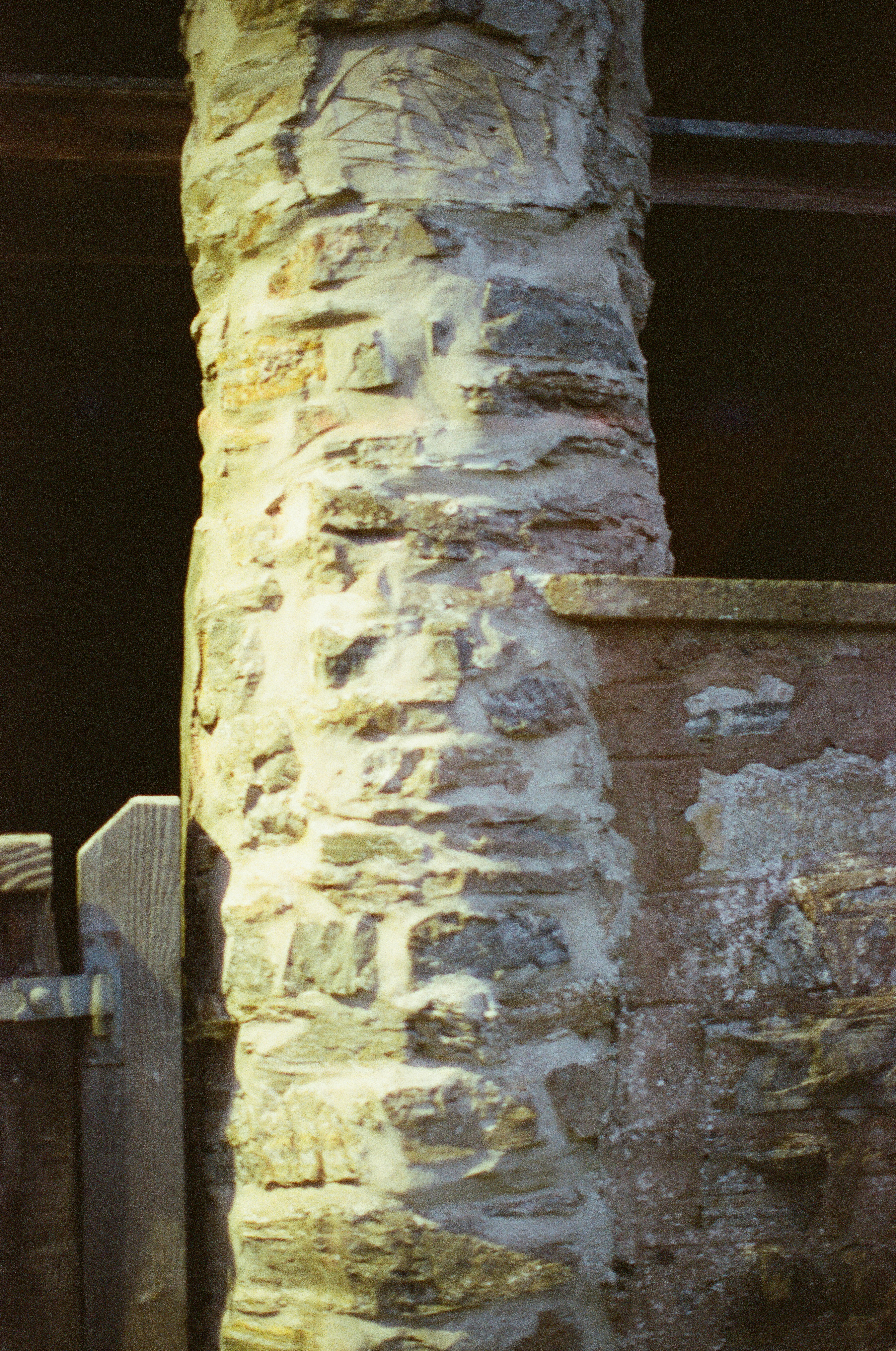 Photo by tanyabarrow