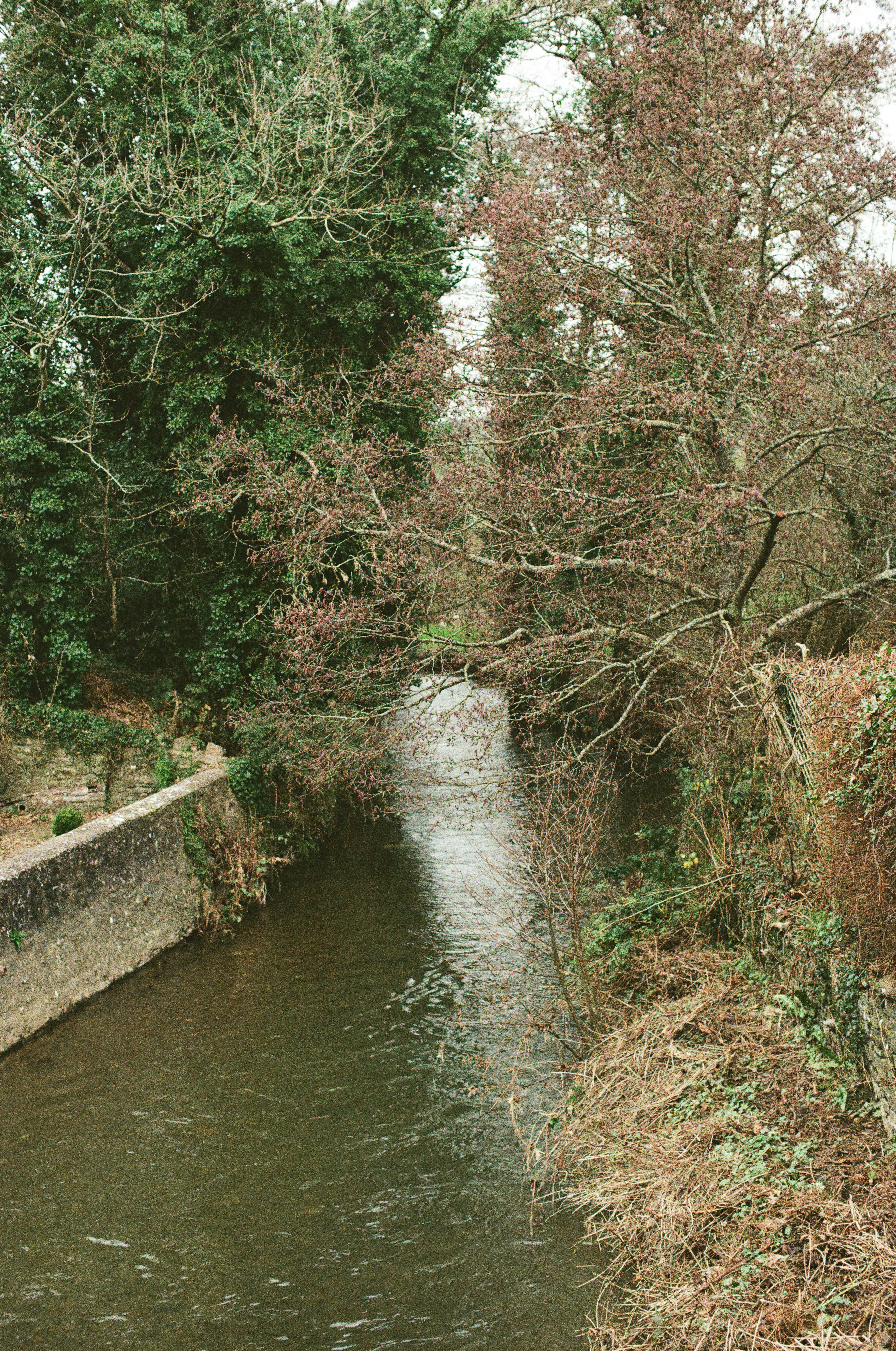 Photo by tanyabarrow